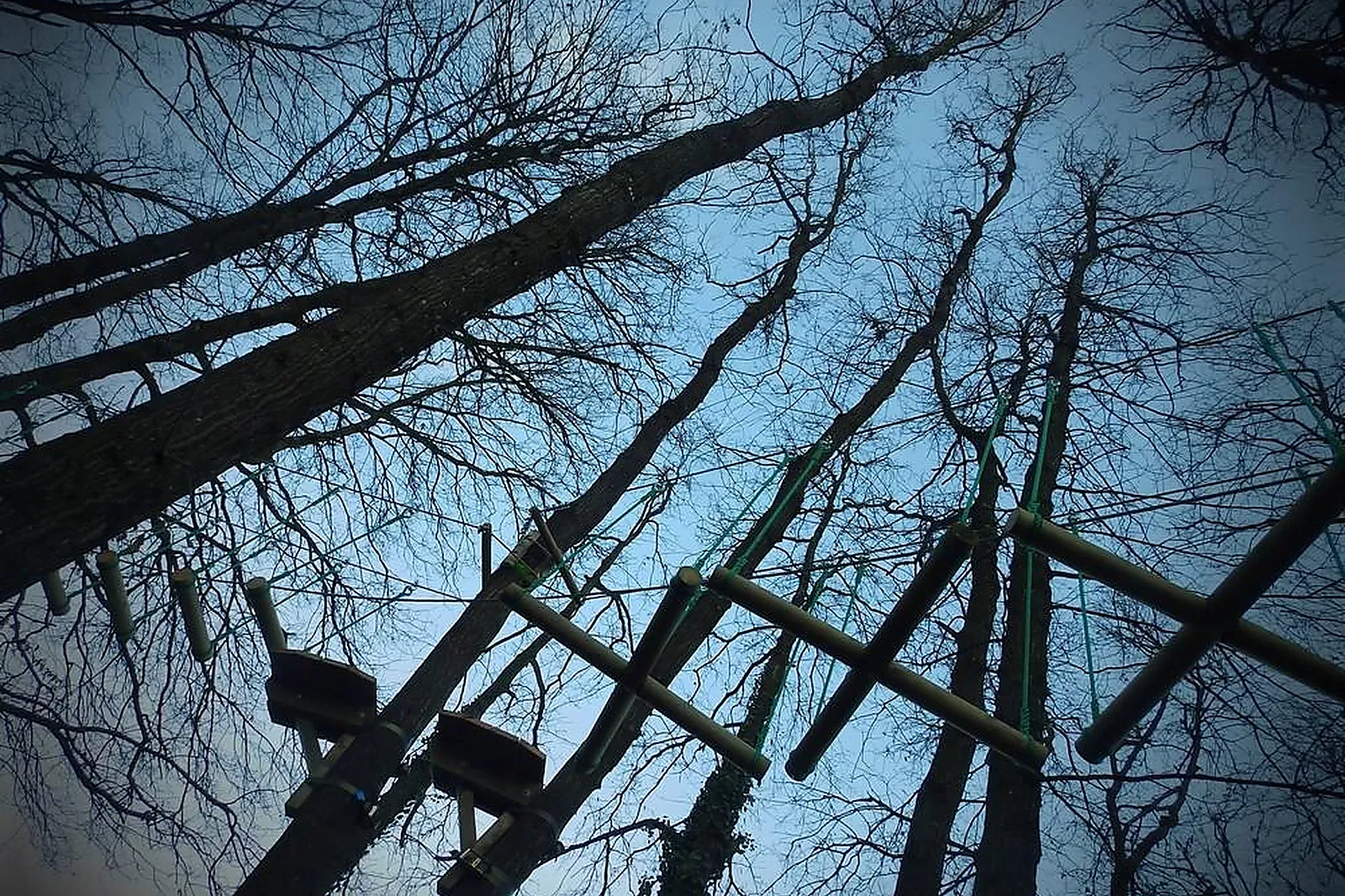 Team building sportif, TEAM BUILDING - SAUMUR (MAINE-ET-LOIRE) : SAUMUR FOREST AVENTURES