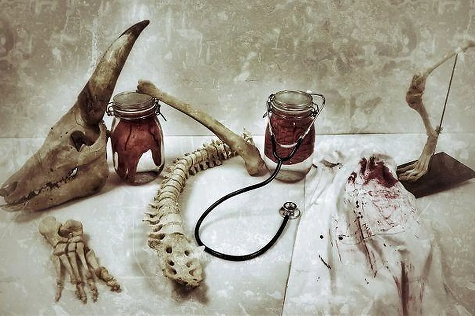 Team building insolite, TEAM BUILDING - SAINT-LÔ (MANCHE) : EXPERIENCE GAME