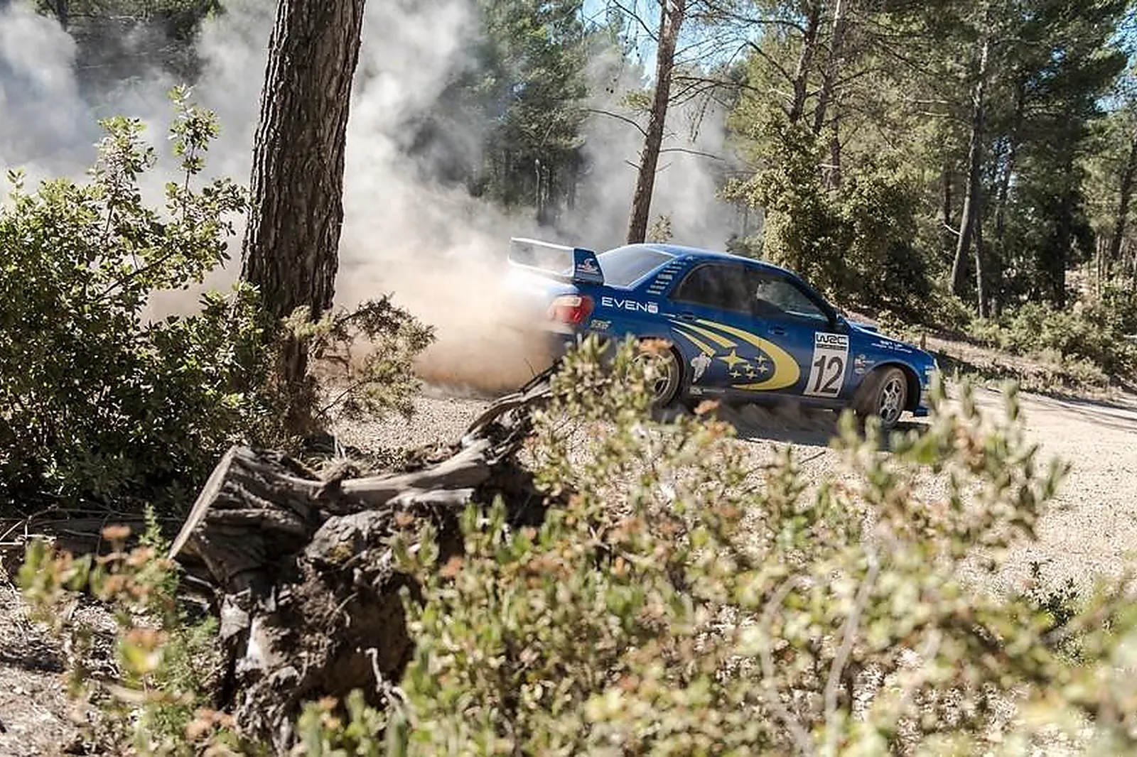 Team building automobile, TEAM BUILDING - TOULON (VAR) : SETUP PILOTAGE