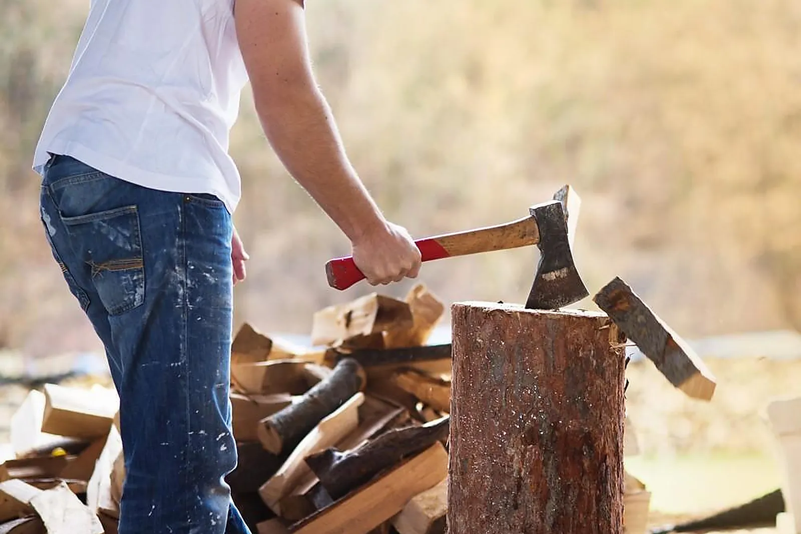 Team building insolite, TEAM BUILDING - TOULOUSE (HAUTE-GARONNE) : KARNAGE CLUB