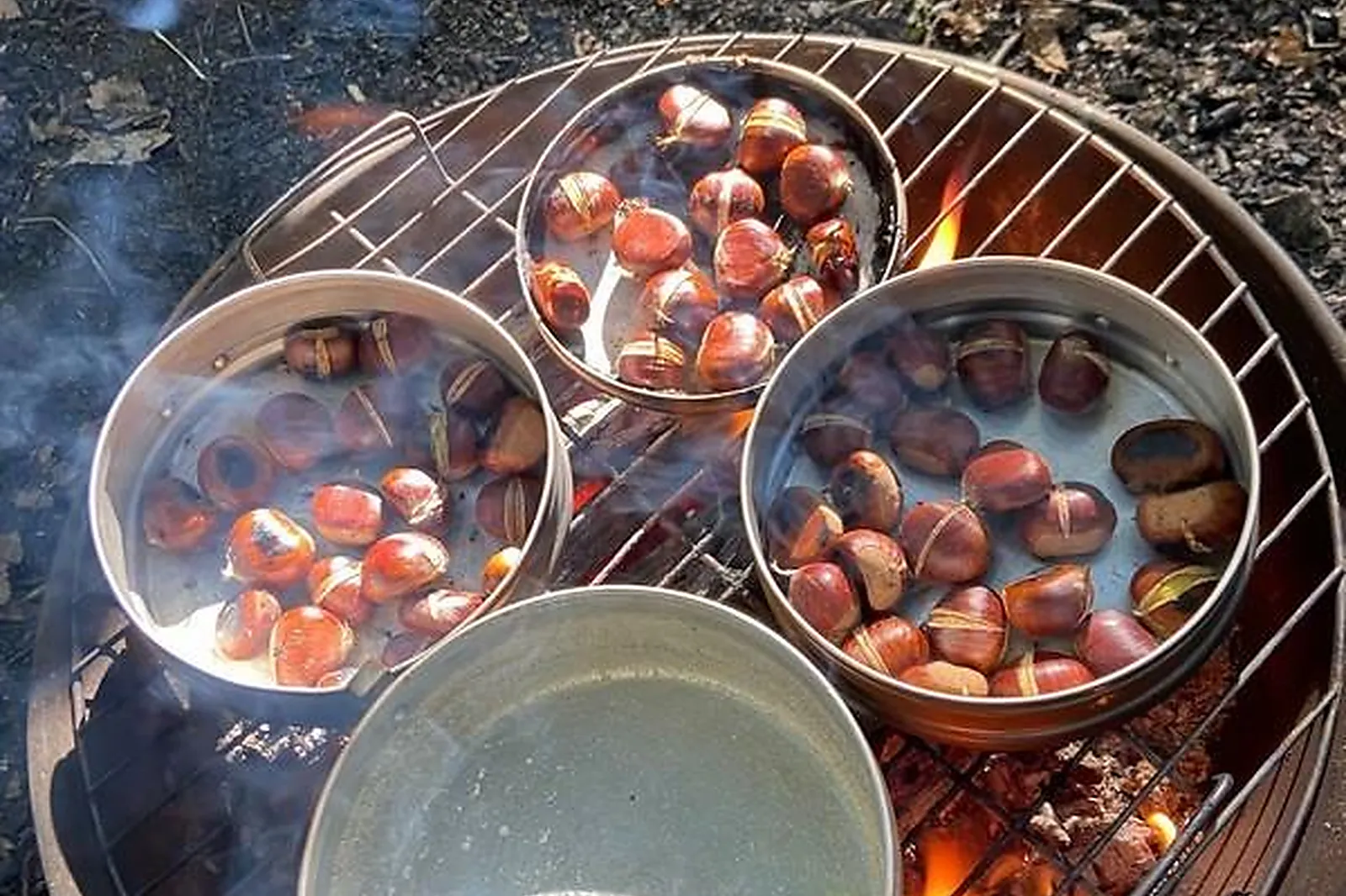 Team building original, TEAM BUILDING - TOURS (INDRE-ET-LOIRE) : NUMATERRA