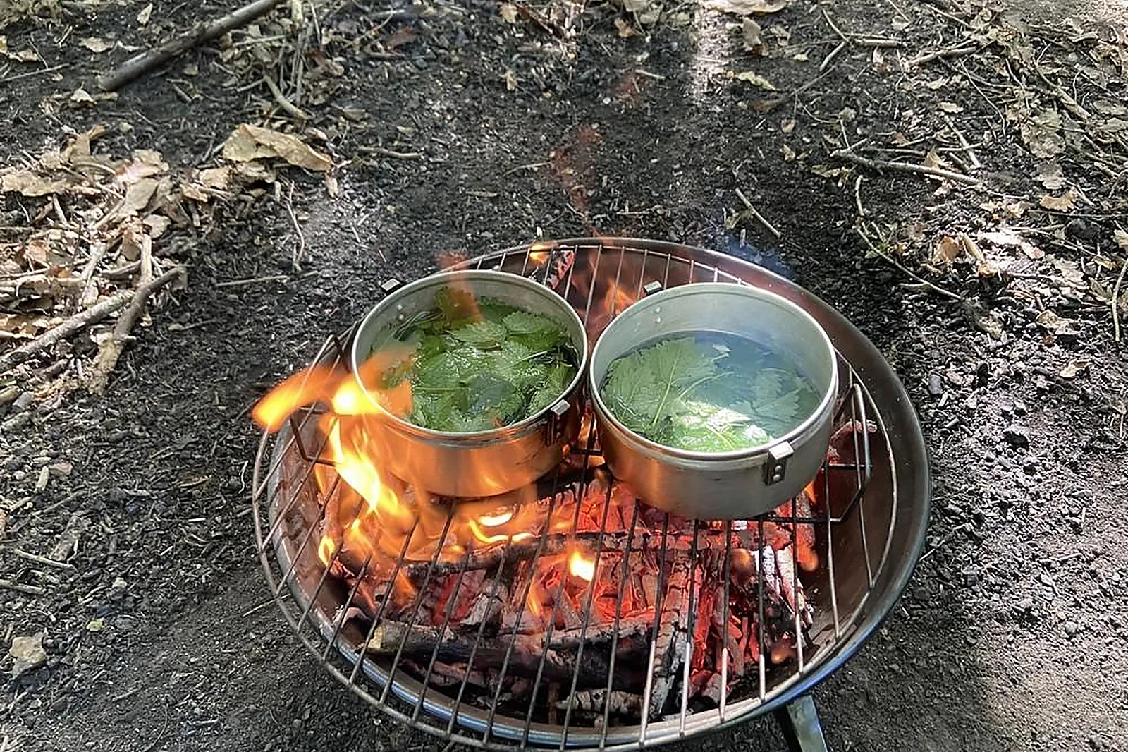 Team building original, TEAM BUILDING - TOURS (INDRE-ET-LOIRE) : NUMATERRA