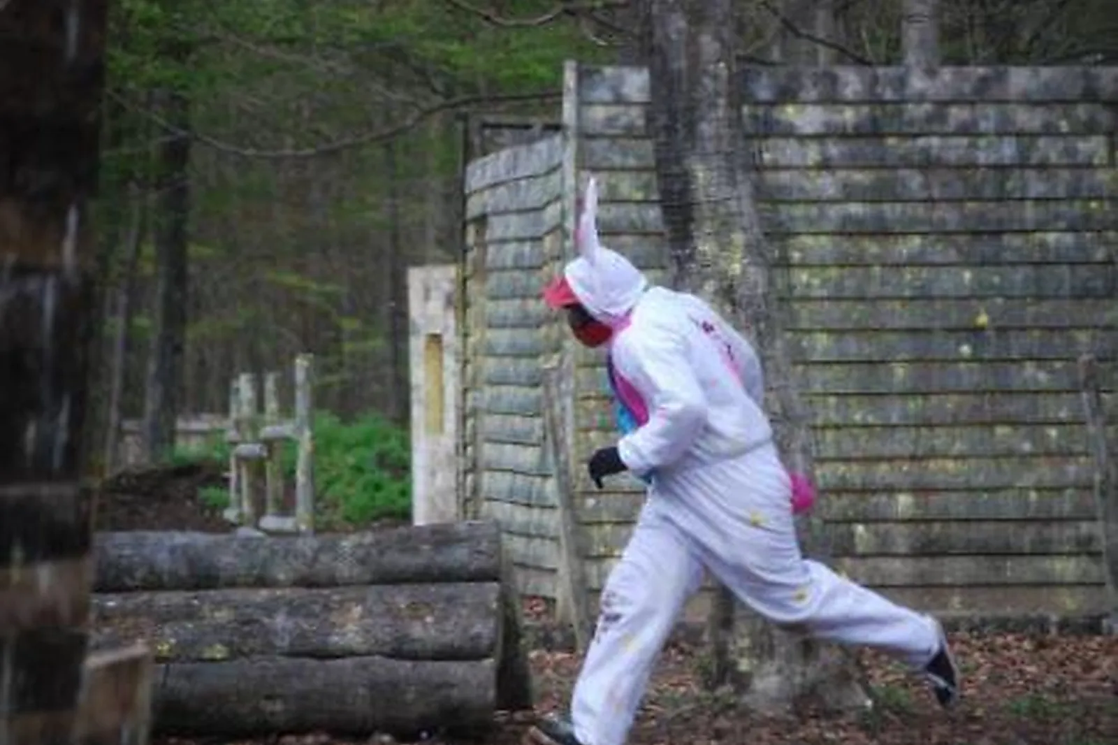 Team building sportif, TEAM BUILDING - VELAINE-EN-HAYE (MEURTHE-ET-MOSELLE) : AVENTURE EST PAINTBALL