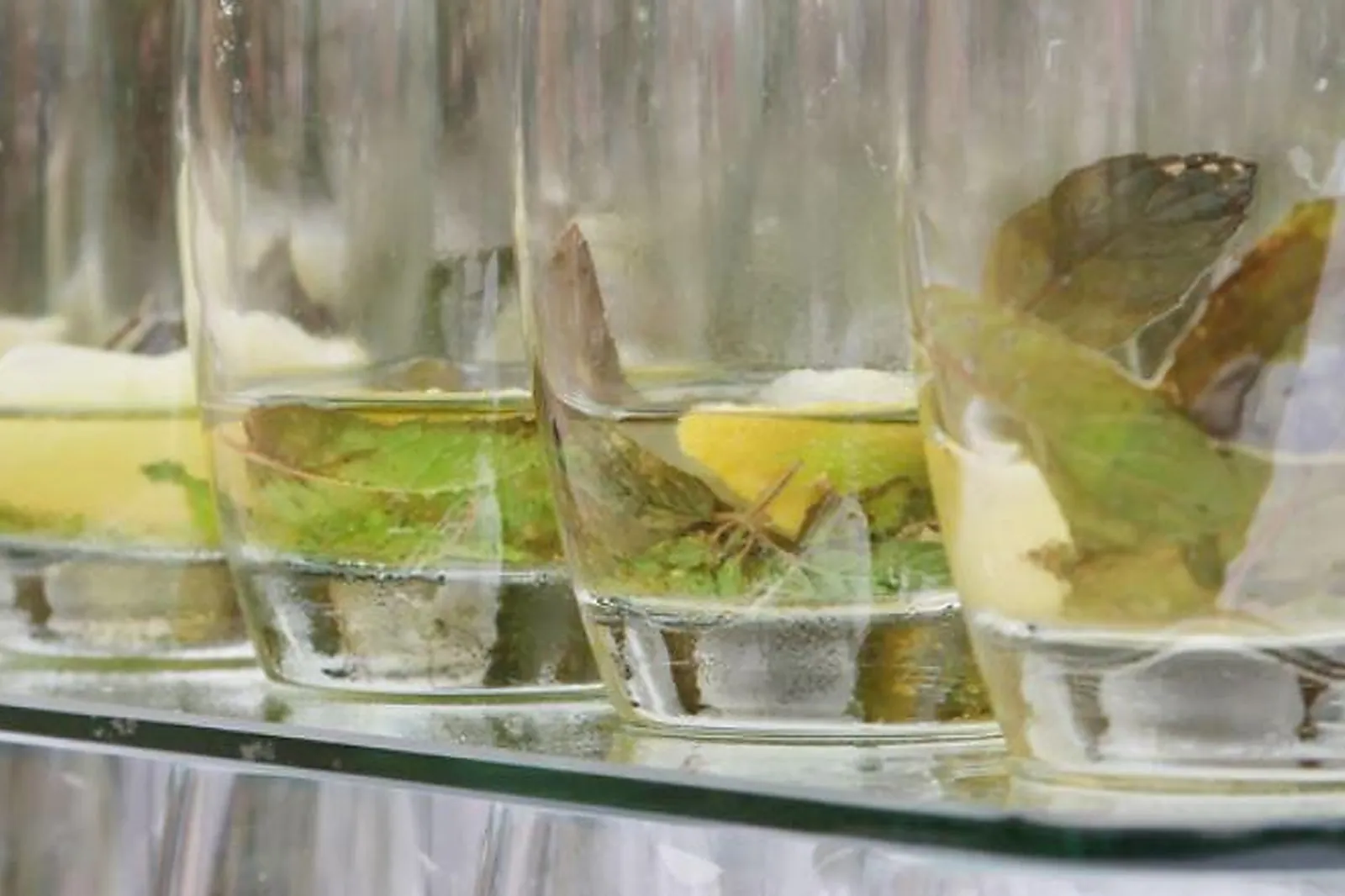 Languedoc-Roussillon-Midi-Pyrénées, TRAITEURS - ALBAN (TARN) : MAISON ROUSTIT