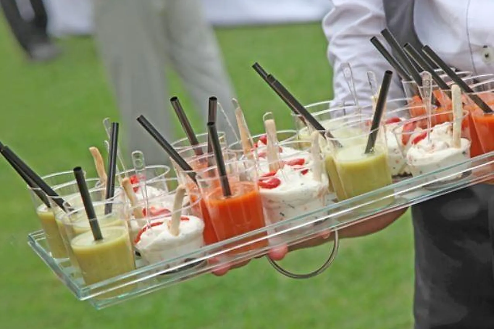 Languedoc-Roussillon-Midi-Pyrénées, TRAITEURS - ALBAN (TARN) : MAISON ROUSTIT