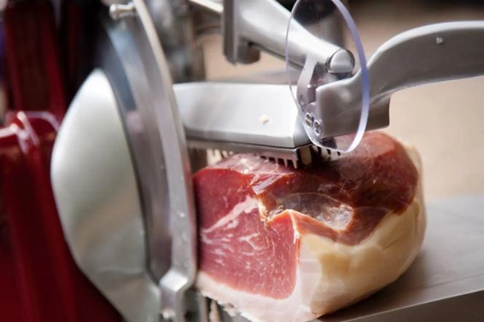 Languedoc-Roussillon-Midi-Pyrénées, TRAITEURS - ALBAN (TARN) : MAISON ROUSTIT