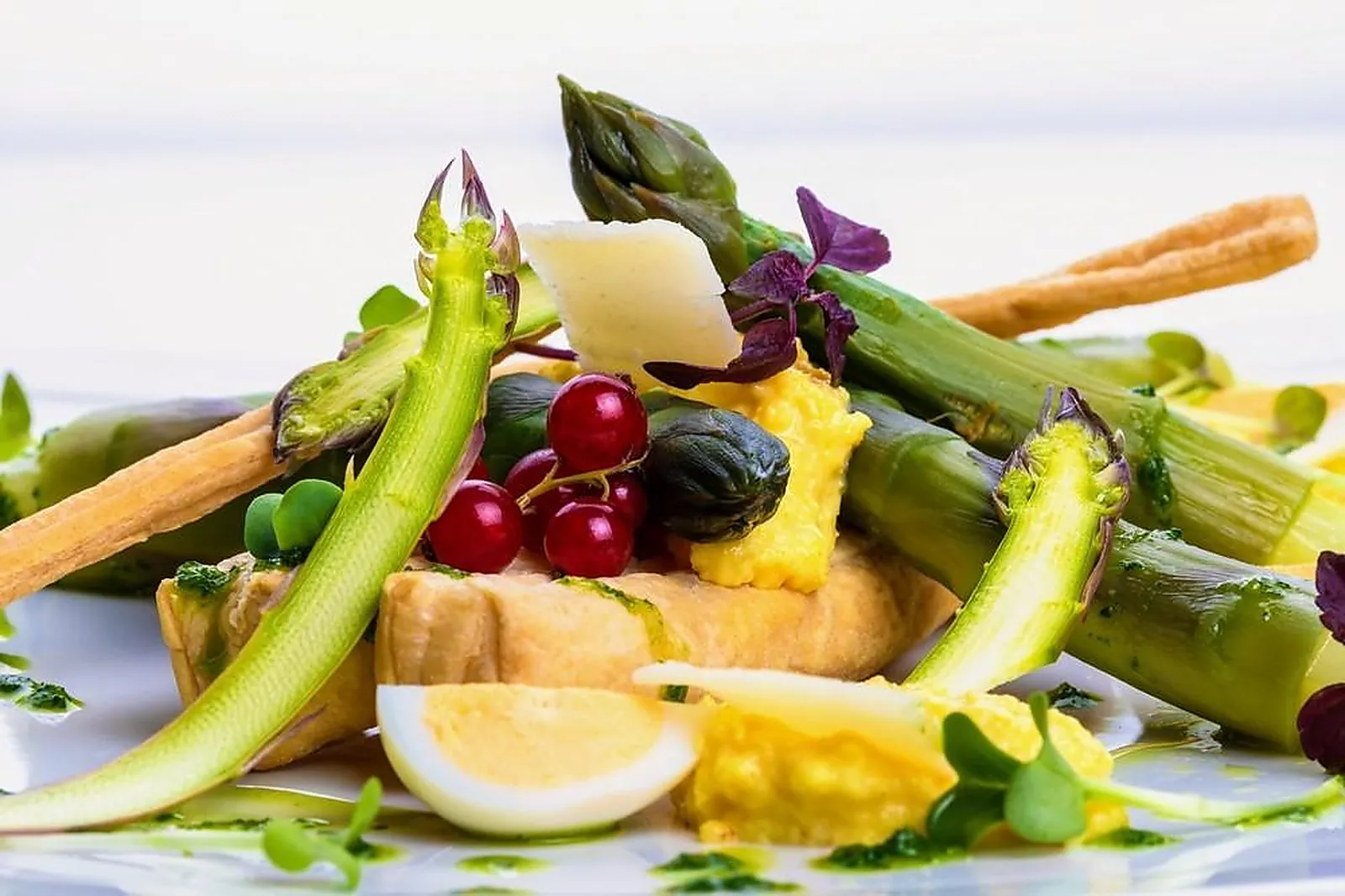 Languedoc-Roussillon-Midi-Pyrénées, TRAITEURS - ALBI (TARN) : DÉCLINAISON TRAITEUR