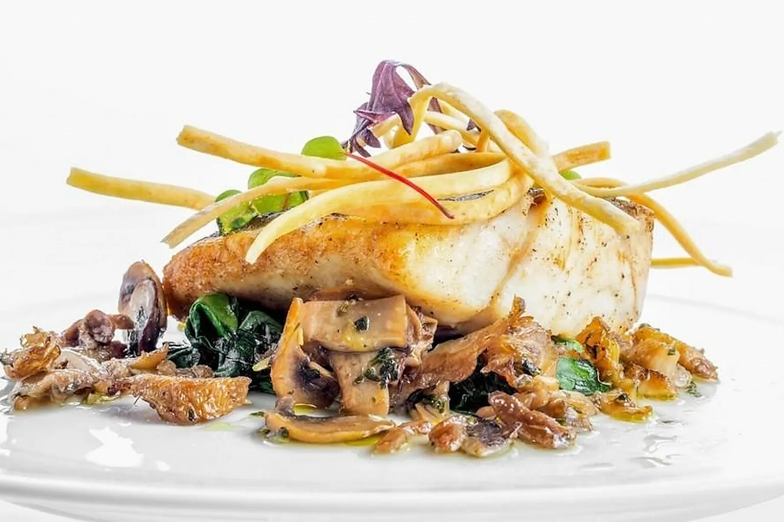 Languedoc-Roussillon-Midi-Pyrénées, TRAITEURS - ALBI (TARN) : DÉCLINAISON TRAITEUR