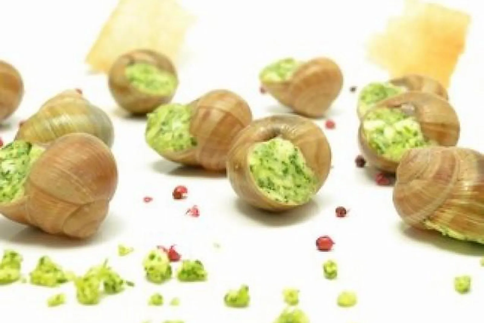 Nord-Pas-de-Calais-Picardie, TRAITEURS - ARRAS (PAS-DE-CALAIS) : DELAVIER RASSON ET FILS