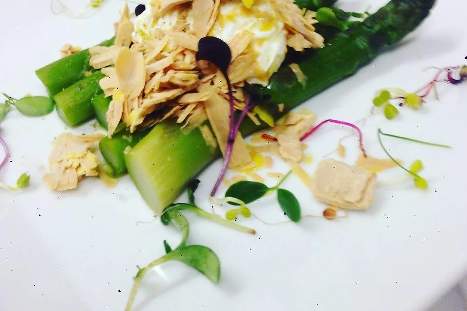 Auvergne-Rhône-Alpes, TRAITEURS - AUBENAS (ARDÈCHE) : LE TOUCAN GOURMAND BY DIMITRI THALMENSY