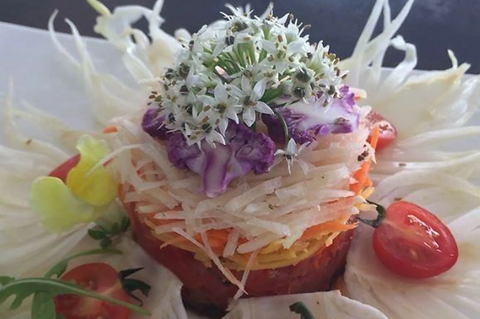 Languedoc-Roussillon-Midi-Pyrénées, TRAITEURS - AUCAMVILLE (TARN-ET-GARONNE) : FOGLIENI ENNIO