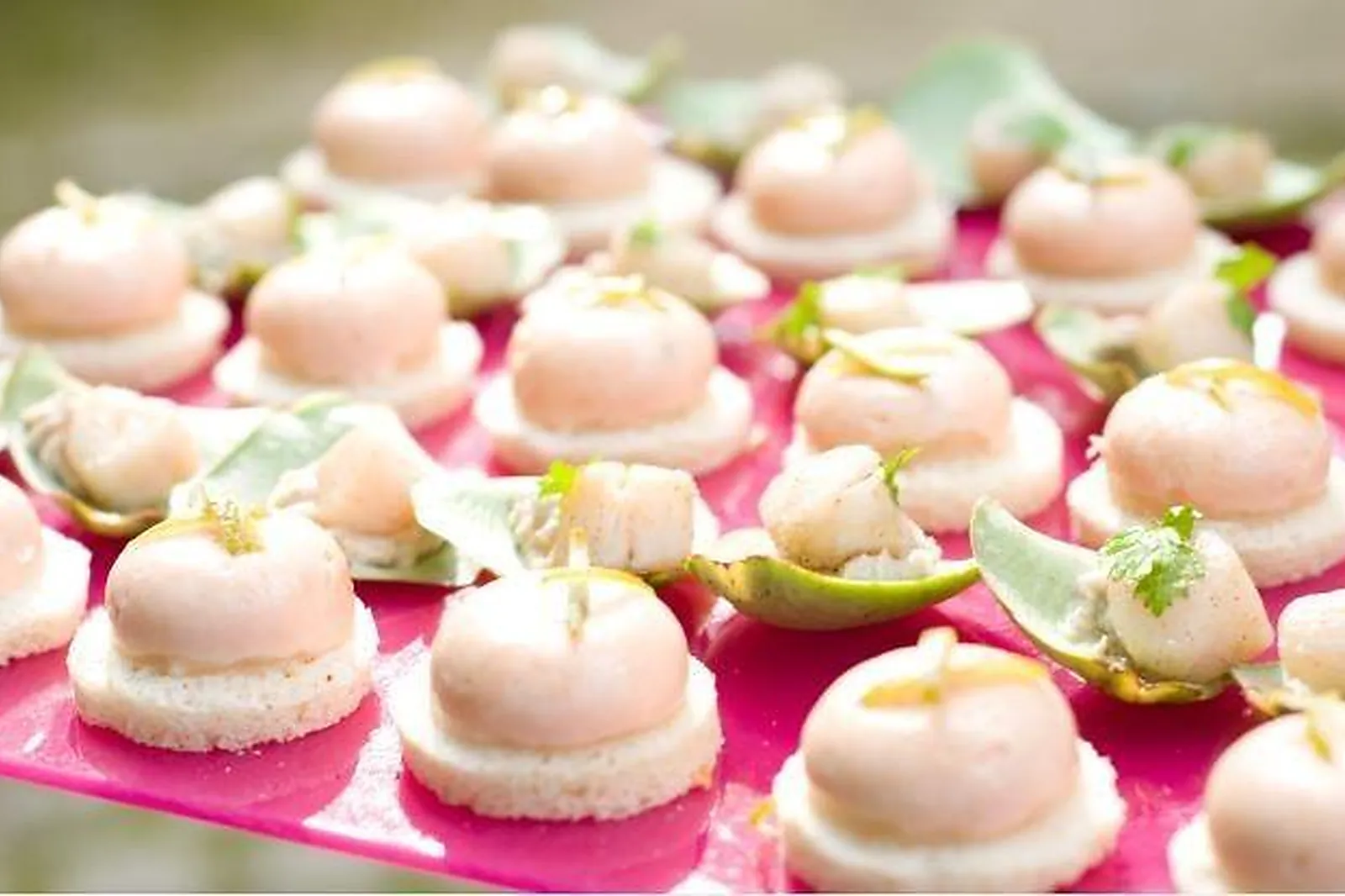 Pays de la Loire, TRAITEURS - AVESSAC (LOIRE-ATLANTIQUE) : EDOUARD SET