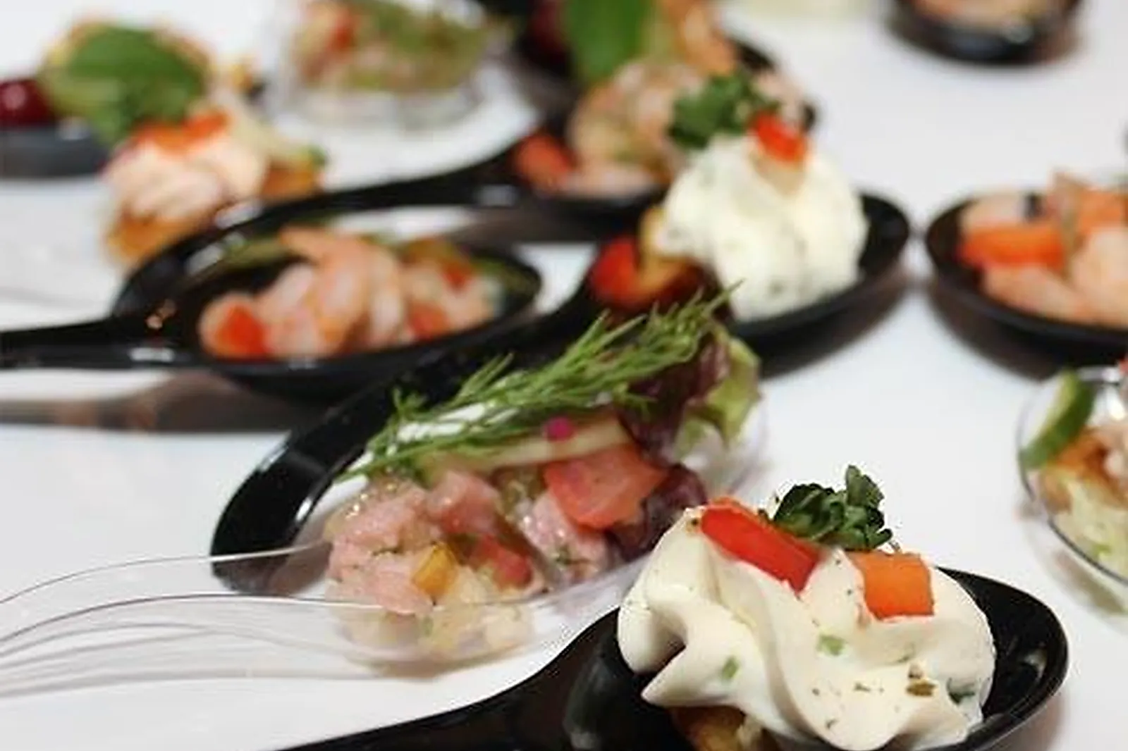 Auvergne-Rhône-Alpes, TRAITEURS - BOURG-LES-VALENCE (DRÔME) : BLANCHARD TRAITEUR