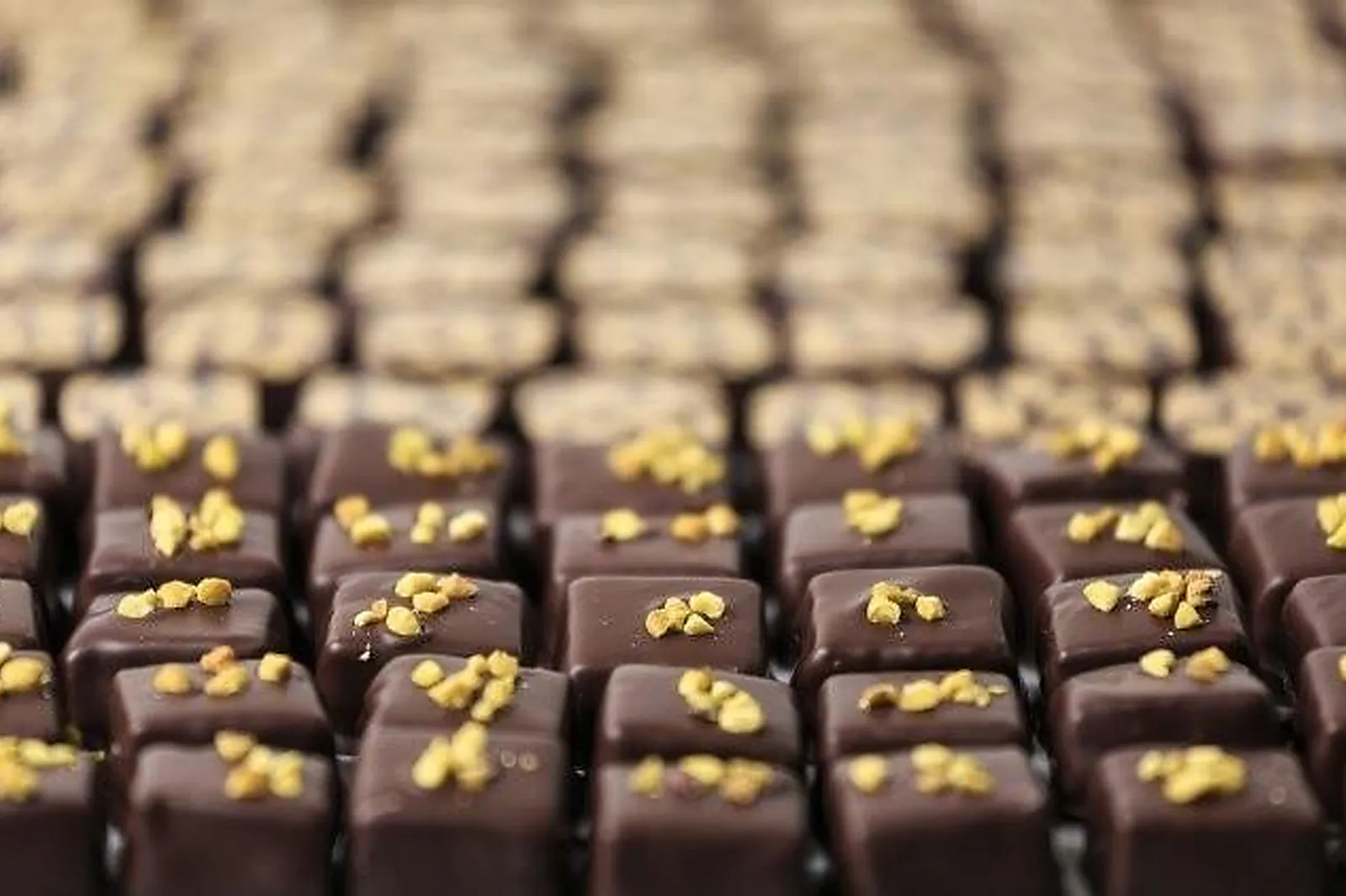 Auvergne-Rhône-Alpes, TRAITEURS - BRUGHEAS (ALLIER) : LA CUISINE ARTISANATE