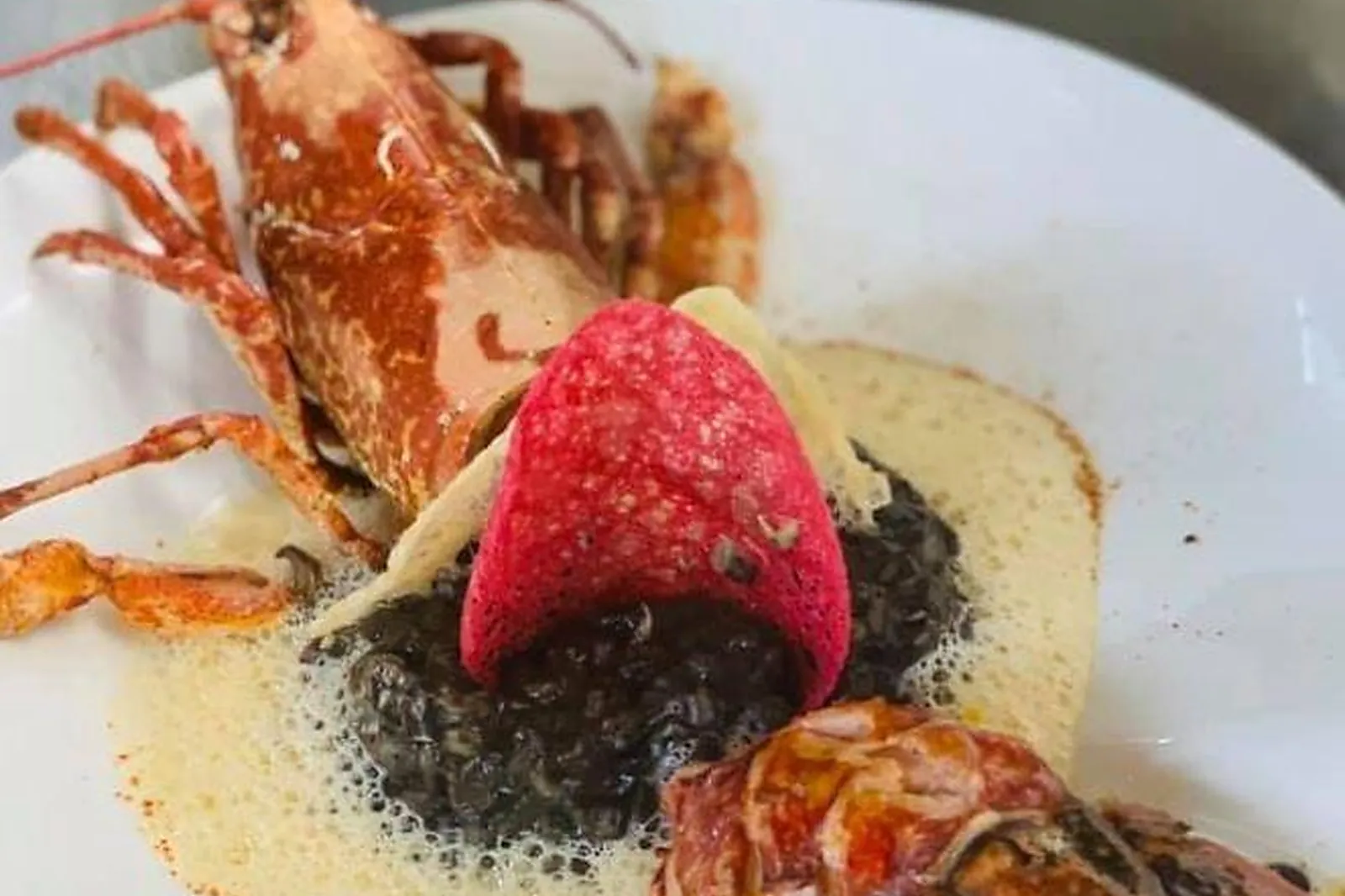 Languedoc-Roussillon-Midi-Pyrénées, TRAITEURS - CABESTANY (PYRÉNÉES-ORIENTALES) : BONIFACE COQUILLAGES