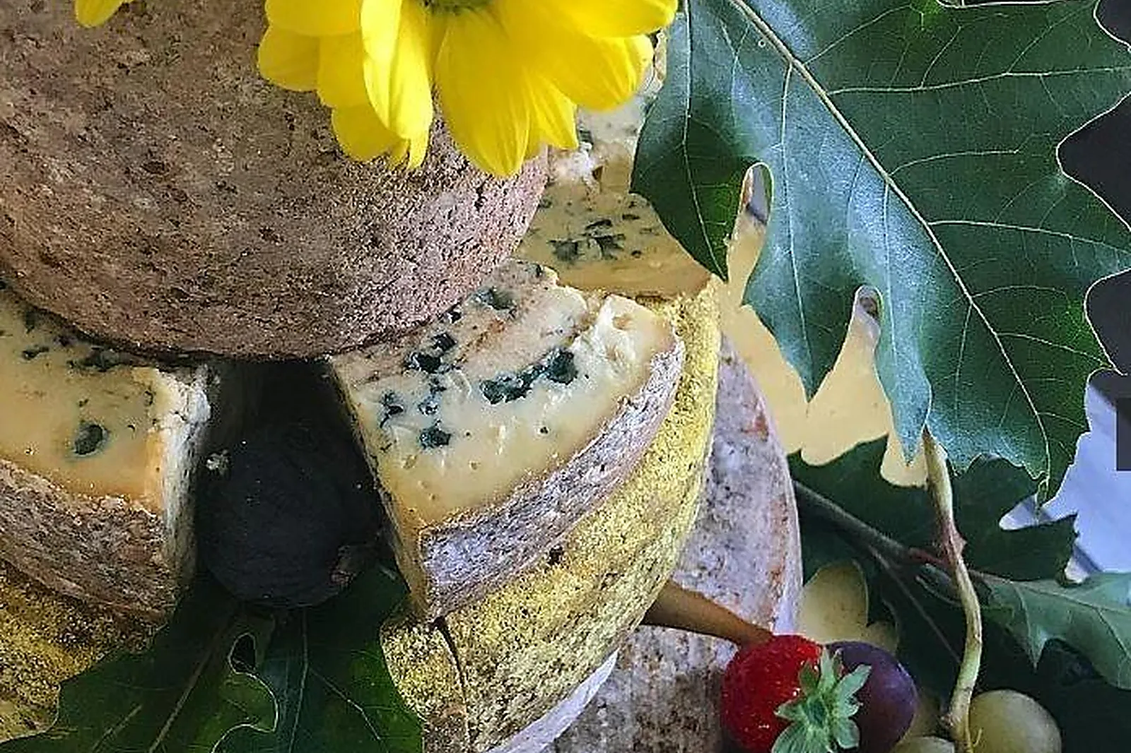 Auvergne-Rhône-Alpes, TRAITEURS - CLERMONT-FERRAND (PUY-DE-DÔME) : CRÉATION GOURMANDE