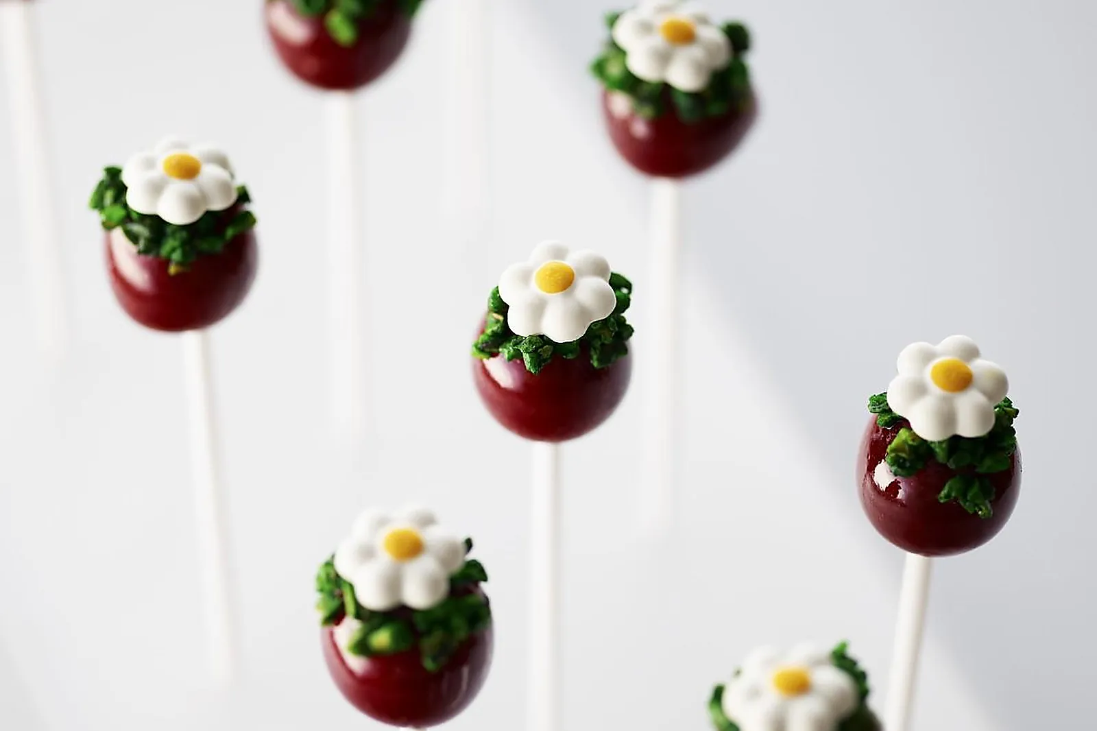 Île-de-France, TRAITEURS - COLOMBES (HAUTS-DE-SEINE) : RAYNIER MARCHETTI