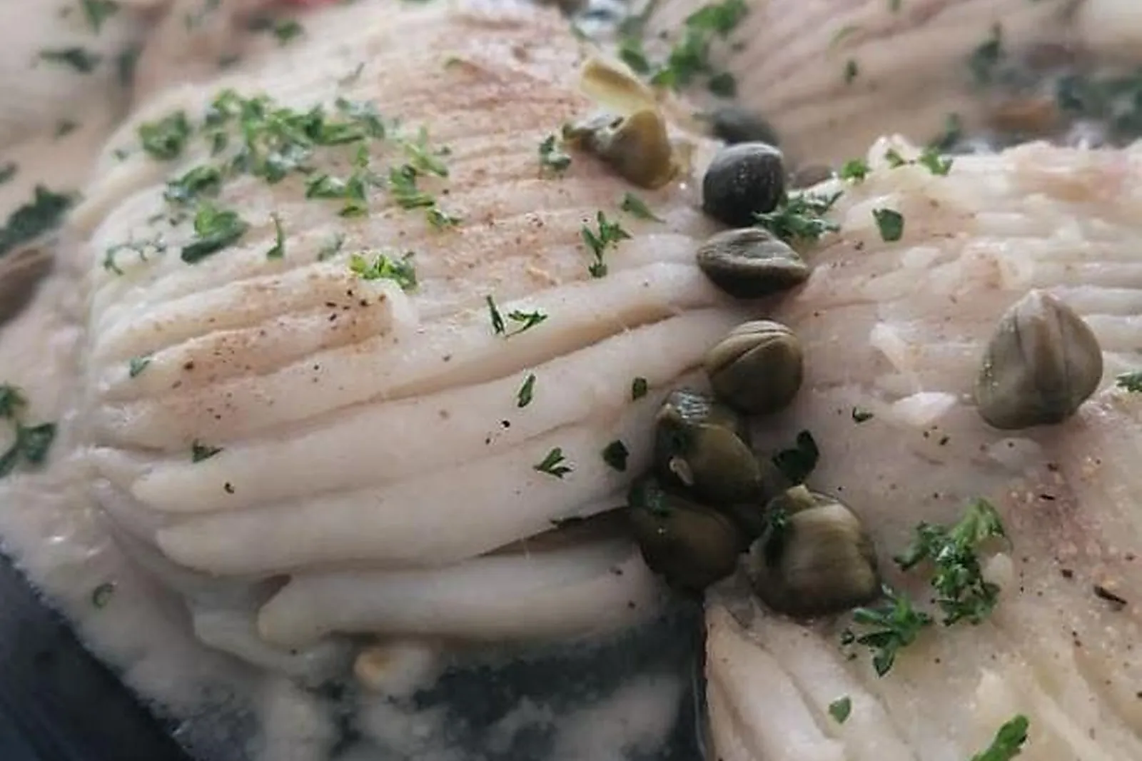 Nord-Pas-de-Calais-Picardie, TRAITEURS - ESCAUDOEUVRES (NORD) : MATTHIEU DHERBECOURT TRAITEUR