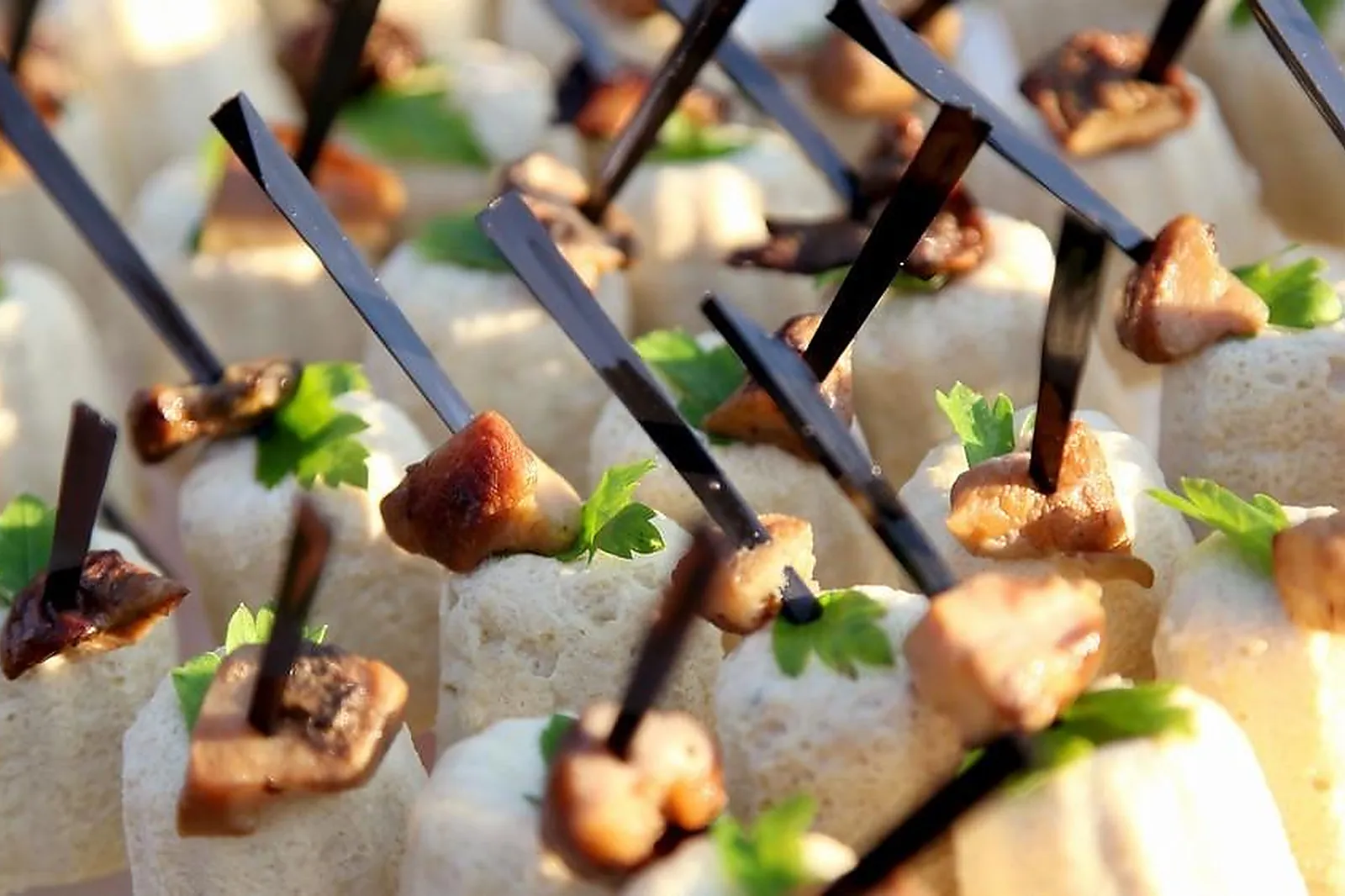 Aquitaine-Limousin-Poitou-Charentes, TRAITEURS - EYSINES (GIRONDE) : LACOSTE