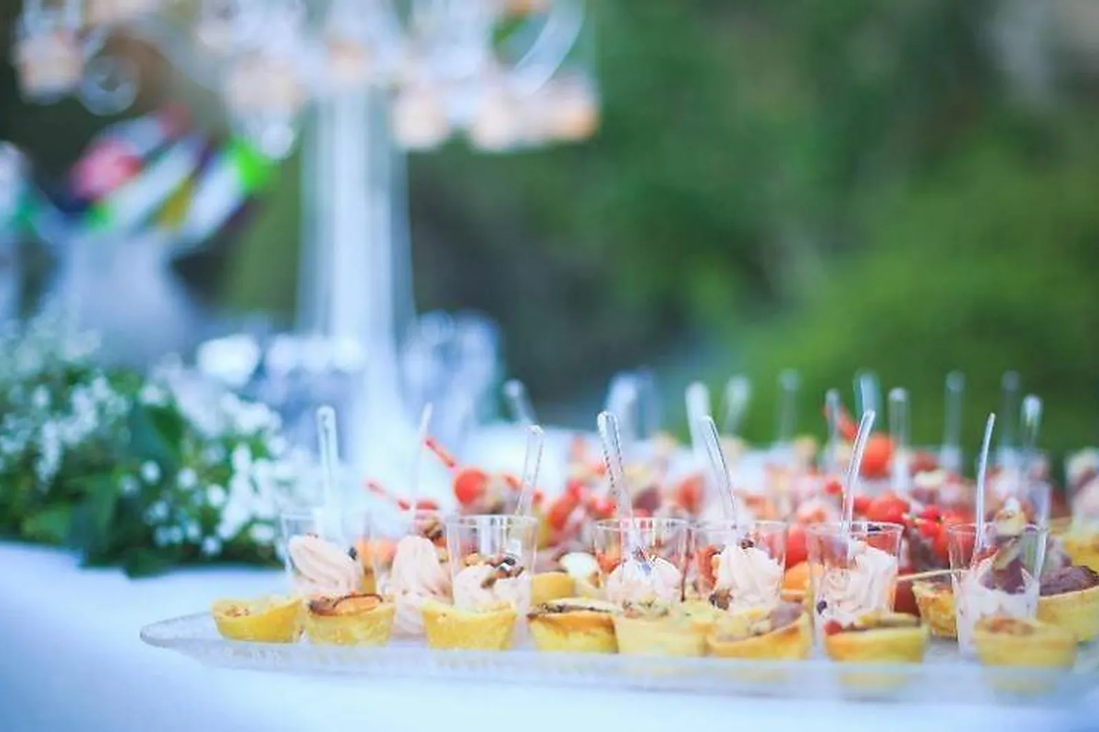 Languedoc-Roussillon-Midi-Pyrénées, TRAITEURS - GAILLAC (TARN) : LE COLOMBIER TRAITEUR