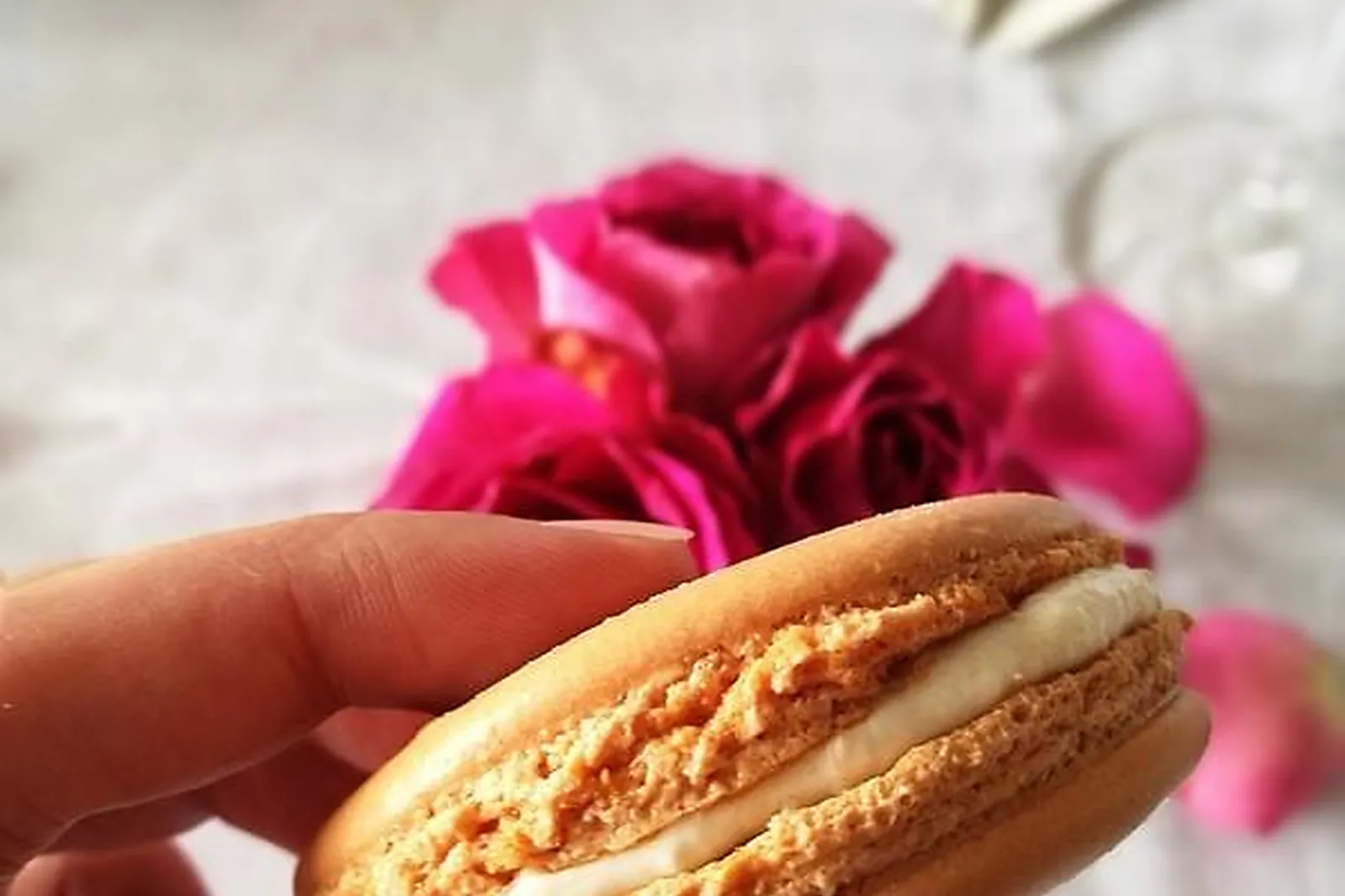 Aquitaine-Limousin-Poitou-Charentes, TRAITEURS - GAURIAGUET (GIRONDE) : NOVELLE TRAITEUR