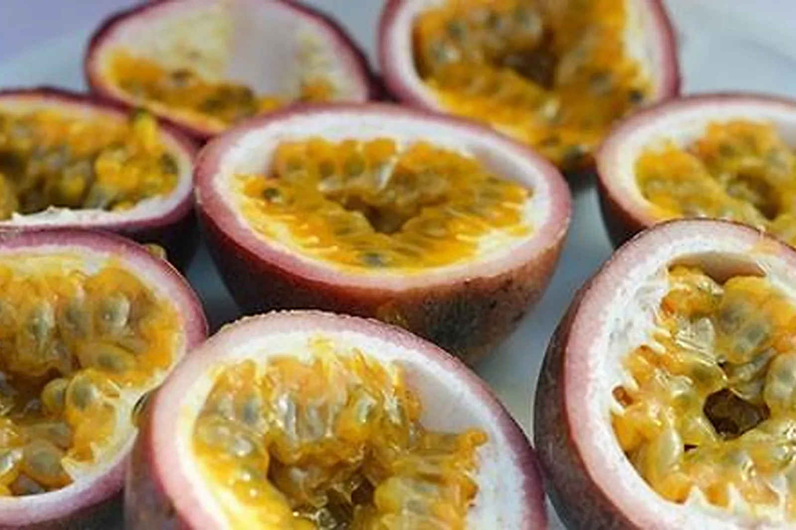 Île-de-France, TRAITEURS - HOUDAN (YVELINES) : ENTRE METS ET FRAGRANCES