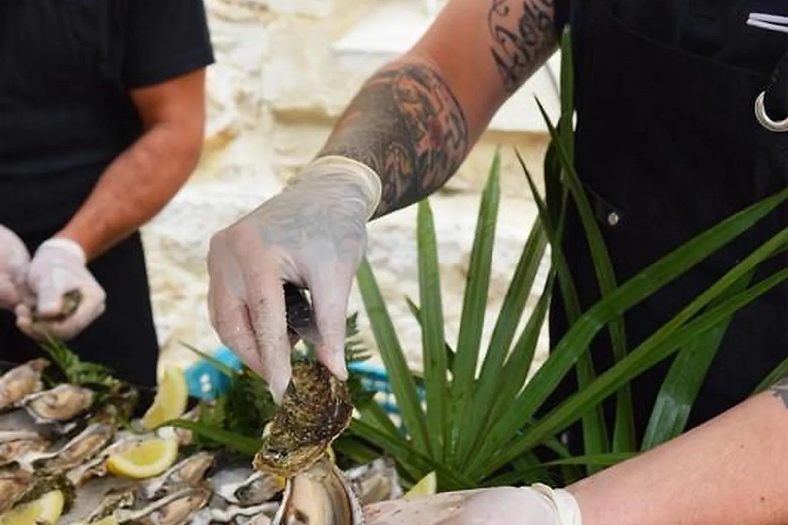 Aquitaine-Limousin-Poitou-Charentes, TRAITEURS - LANGON (GIRONDE) : DARROZE TRAITEUR