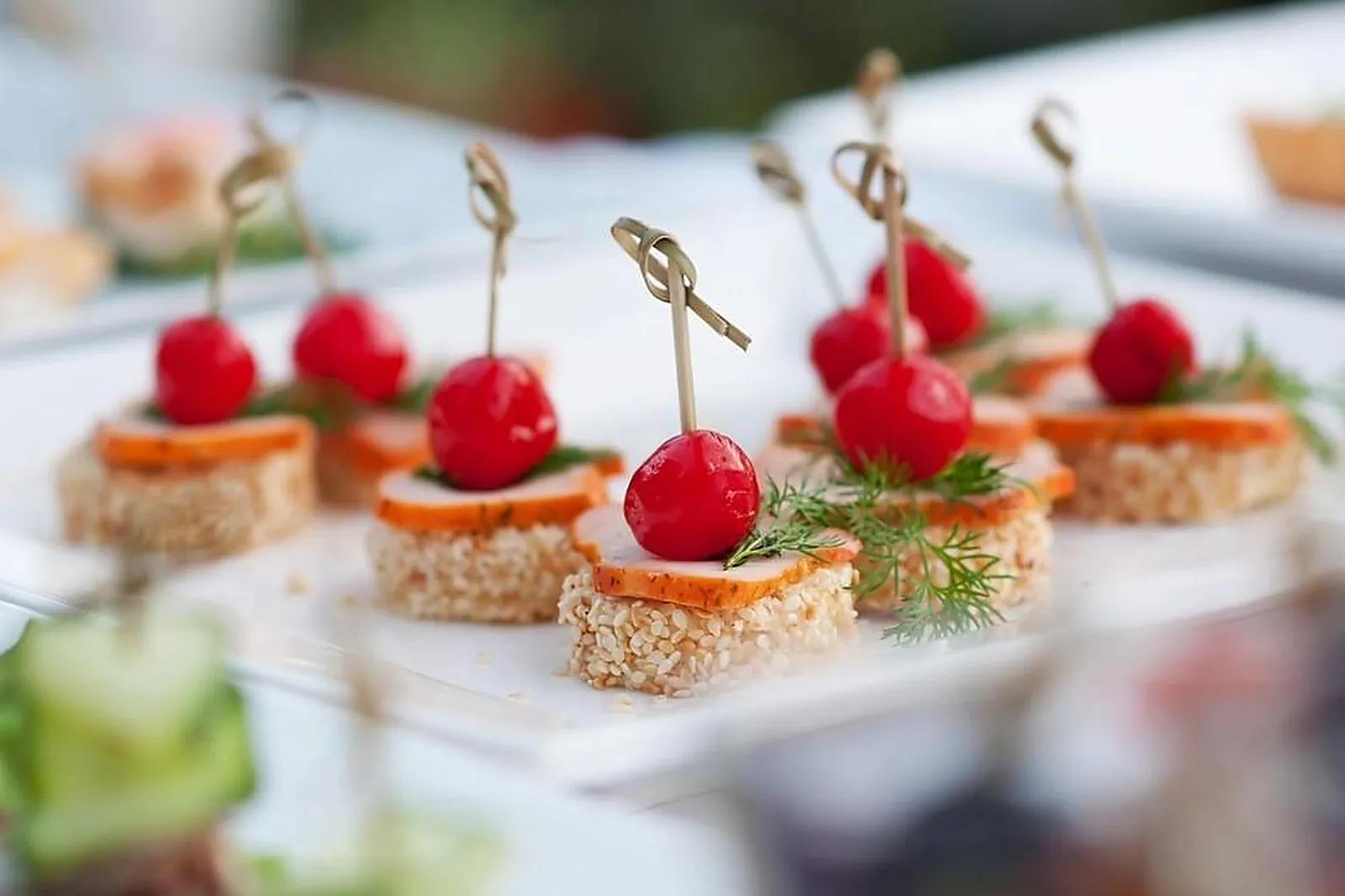 Pays de la Loire, TRAITEURS - LAVAL (MAYENNE) : SONNET TRAITEUR