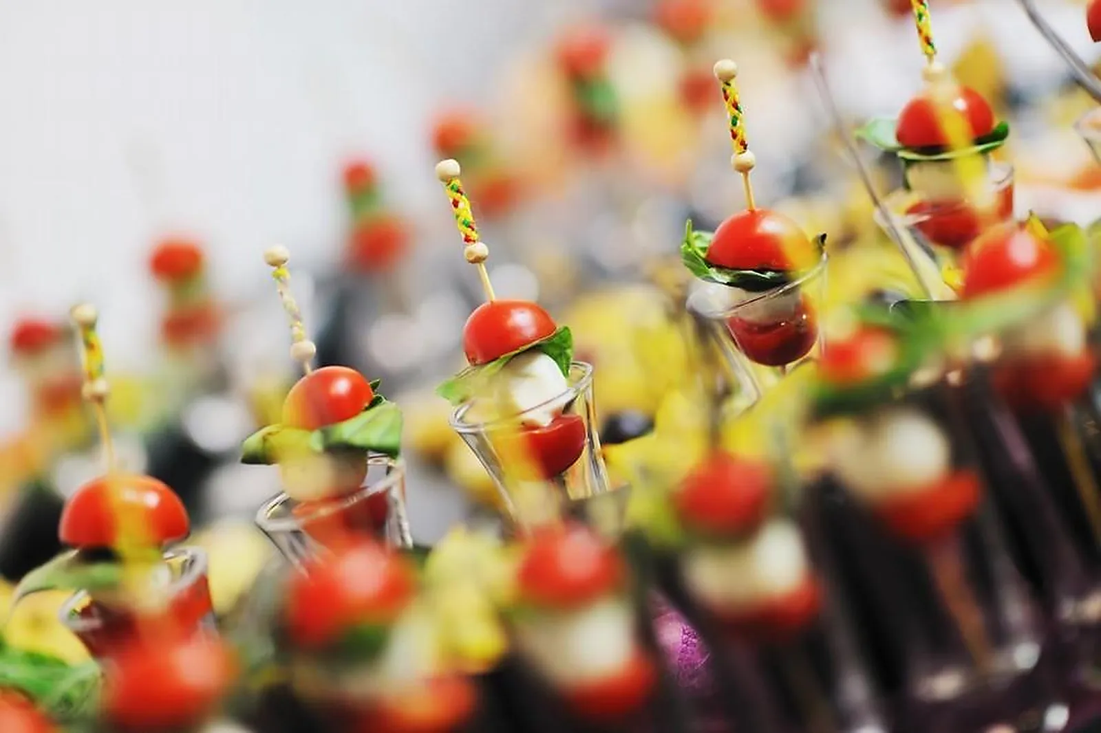 Pays de la Loire, TRAITEURS - LAVAL (MAYENNE) : SONNET TRAITEUR