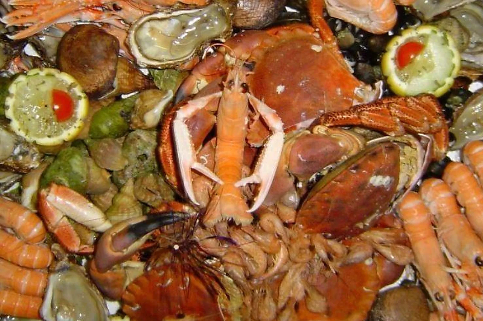 Pays de la Loire, TRAITEURS - LA POMMERAYE (MAINE-ET-LOIRE) : RENOUT TRAITEUR