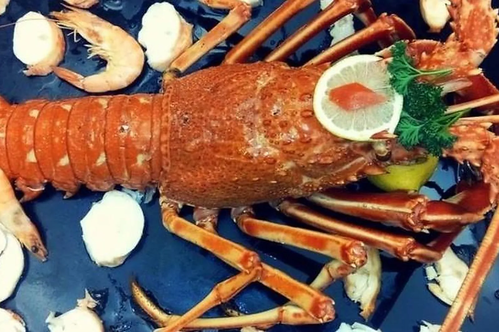 Auvergne-Rhône-Alpes, TRAITEURS - LE CORBIER (SAVOIE) : CHRISTIAN TRAITEUR LA FINE BOUCHE