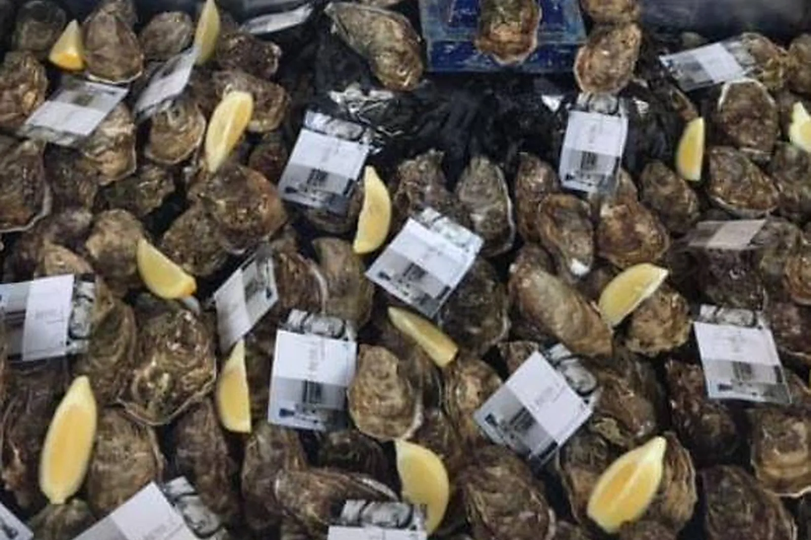 Aquitaine-Limousin-Poitou-Charentes, TRAITEURS - NIEUL LÈS SAINTES (CHARENTE-MARITIME) : DENISE TRAITEUR