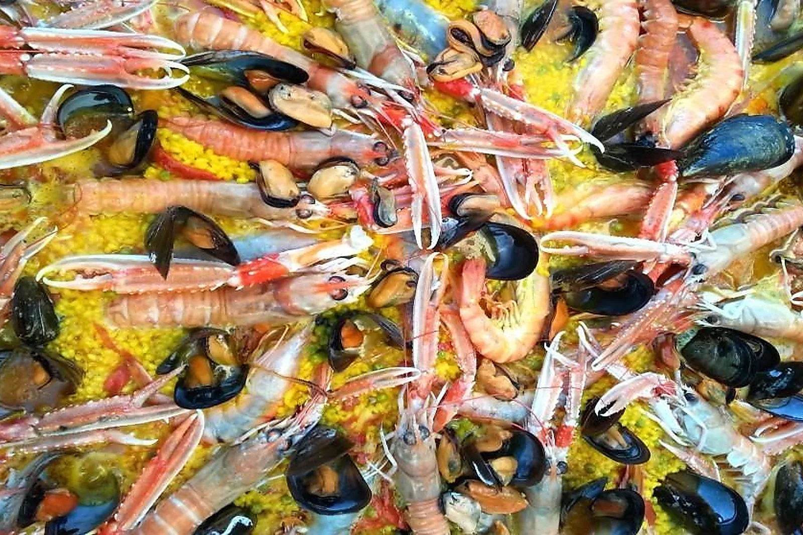 Île-de-France, TRAITEURS - PARIS (PARIS) : DELICIOSO