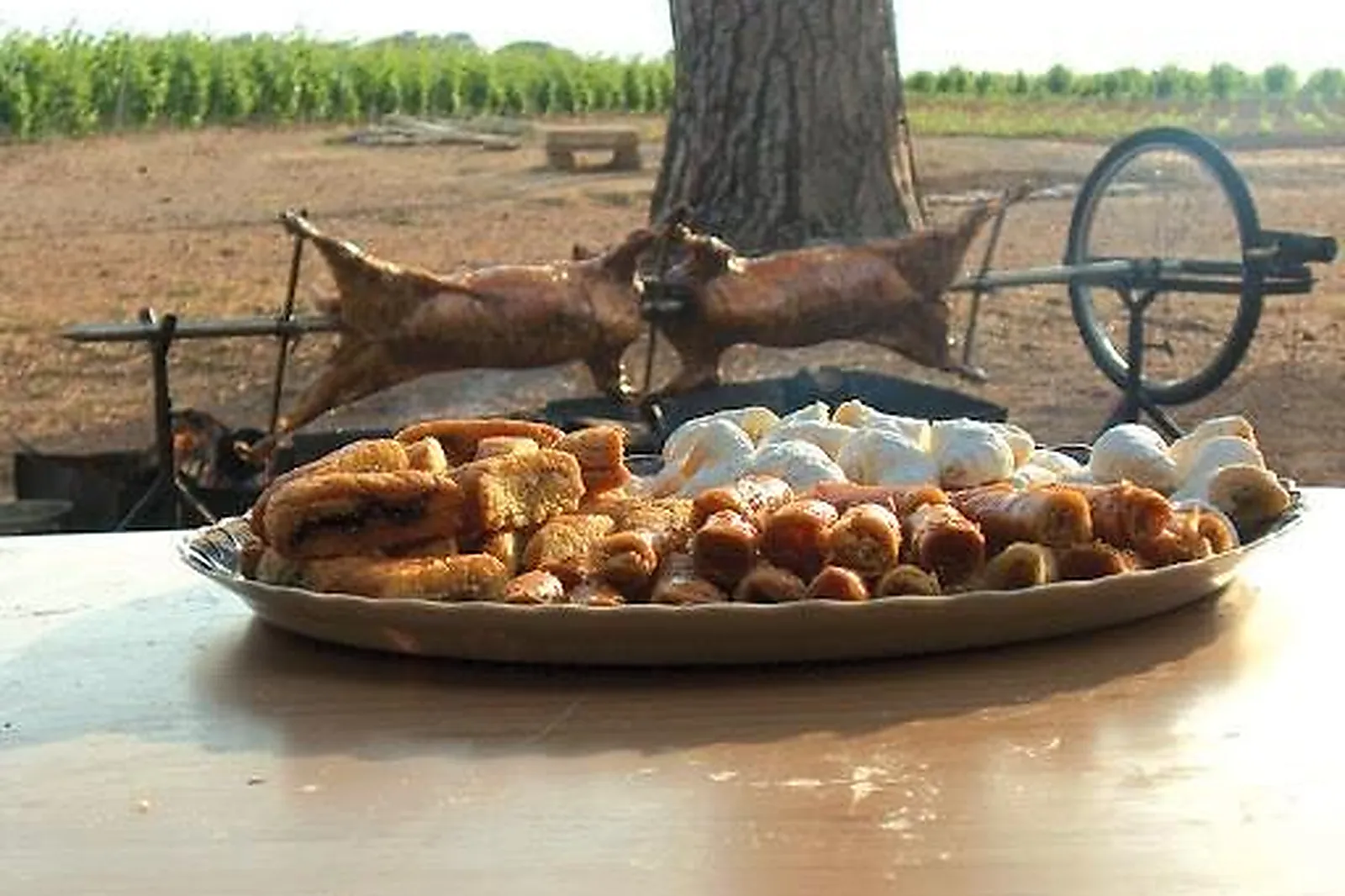 Languedoc-Roussillon-Midi-Pyrénées, TRAITEURS - PÉROLS (HÉRAULT) : LANGUEDOC MÉCHOUI