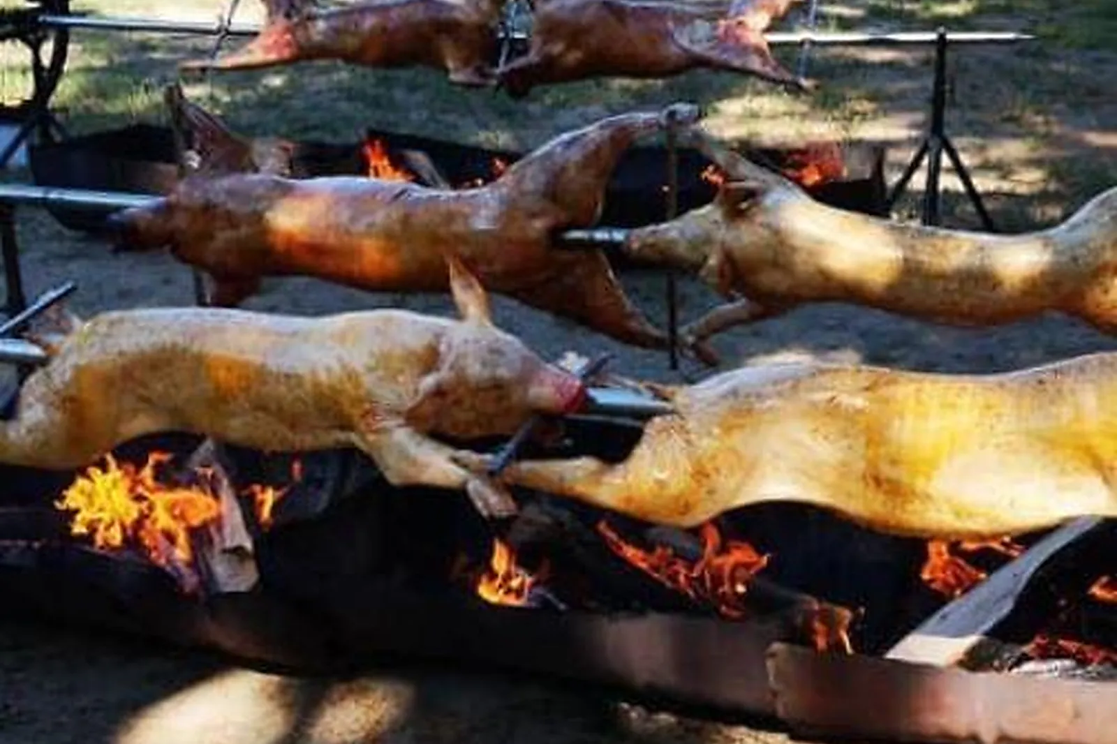Languedoc-Roussillon-Midi-Pyrénées, TRAITEURS - PÉROLS (HÉRAULT) : LANGUEDOC MÉCHOUI