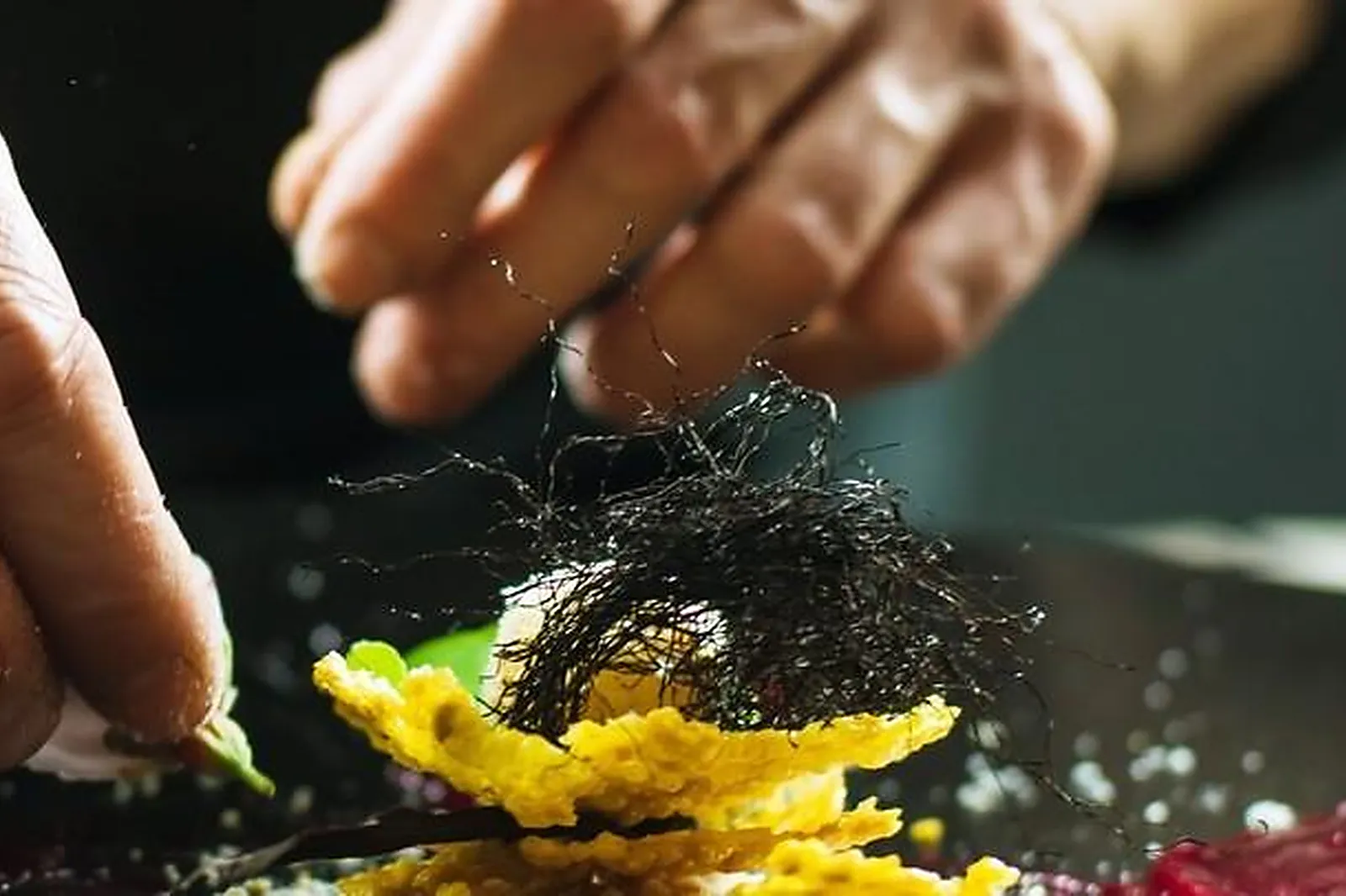 Île-de-France, TRAITEURS - PIERREFITTE-SUR-SEINE (SEINE-SAINT-DENIS) : CANELAS TRAITEUR