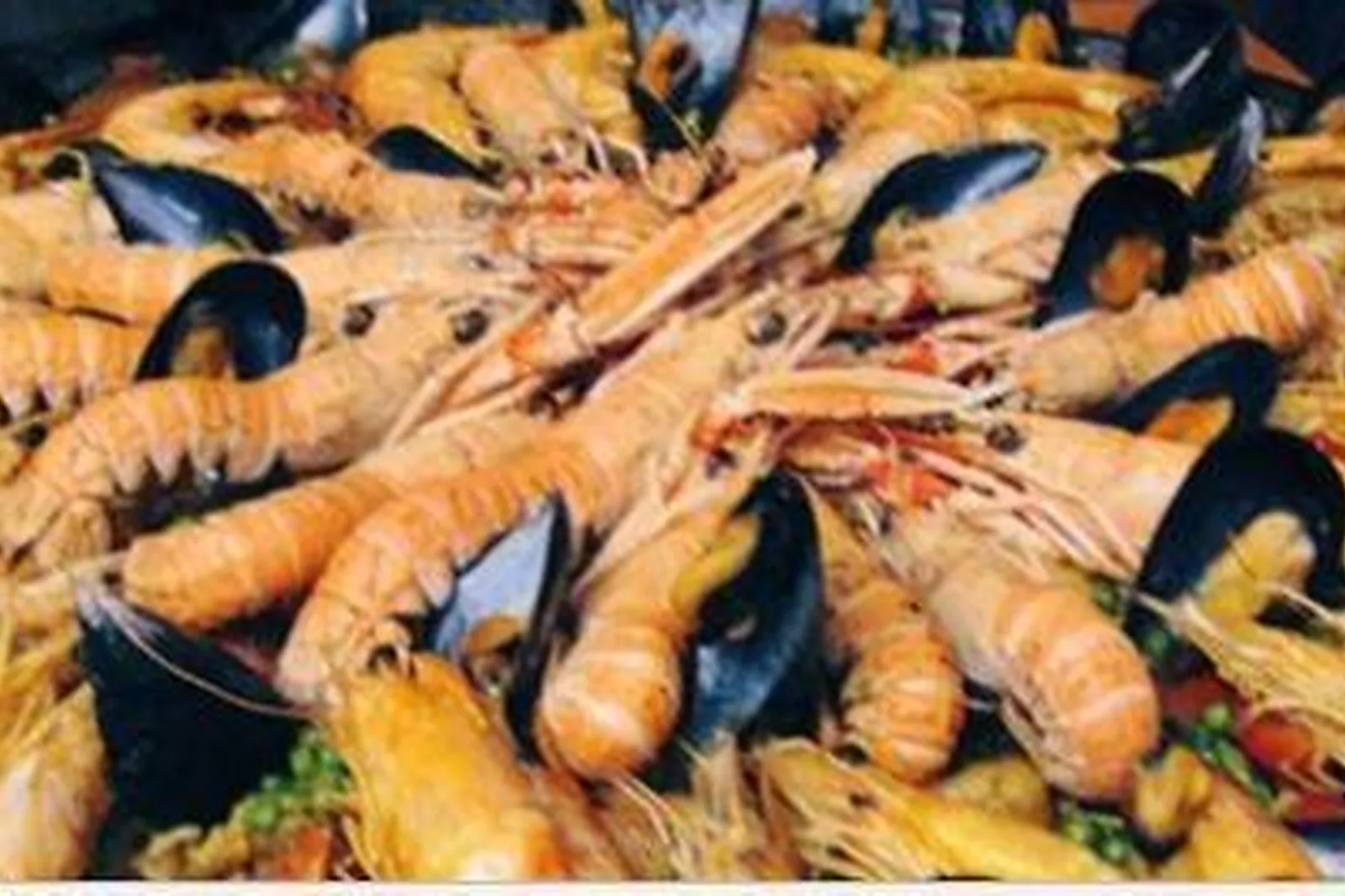 Provence-Alpes-Côte d'Azur, TRAITEURS - PORT FRÉJUS (VAR) : LE VAN DAM (SARL)