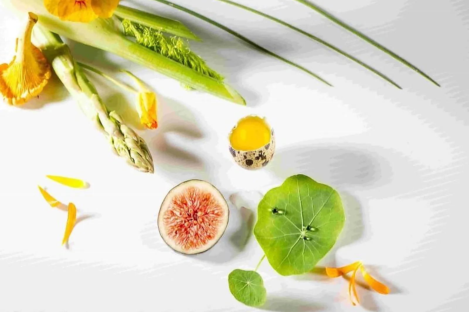 Alsace-Champagne-Ardenne-Lorraine, TRAITEURS - RAUWILLER (BAS-RHIN) : MARTINE HOLVECK