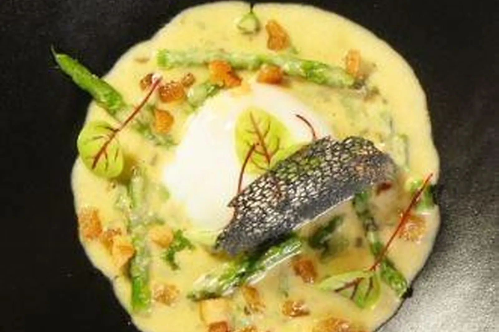 Languedoc-Roussillon-Midi-Pyrénées, TRAITEURS - ROUFFIAC-TOLOSAN (HAUTE-GARONNE) : COOKING 4 U STÉPHANE RÉAU