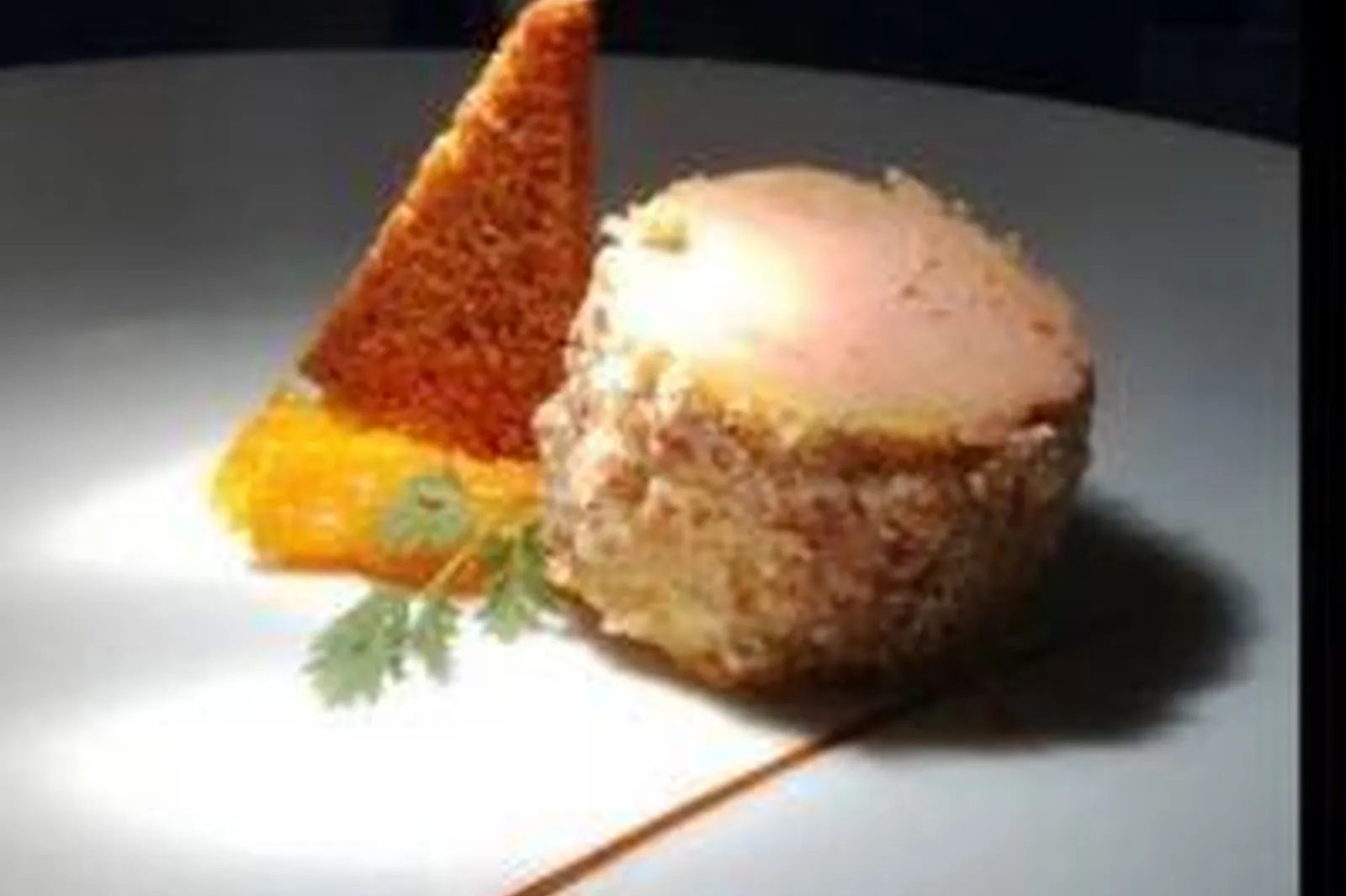 Languedoc-Roussillon-Midi-Pyrénées, TRAITEURS - ROUFFIAC-TOLOSAN (HAUTE-GARONNE) : COOKING 4 U STÉPHANE RÉAU