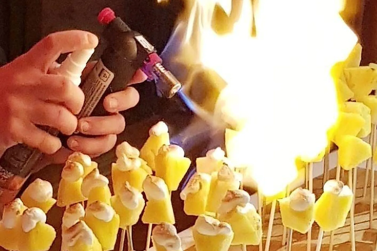 Languedoc-Roussillon-Midi-Pyrénées, TRAITEURS - SAINT-JEAN (HAUTE-GARONNE) : FALCOU