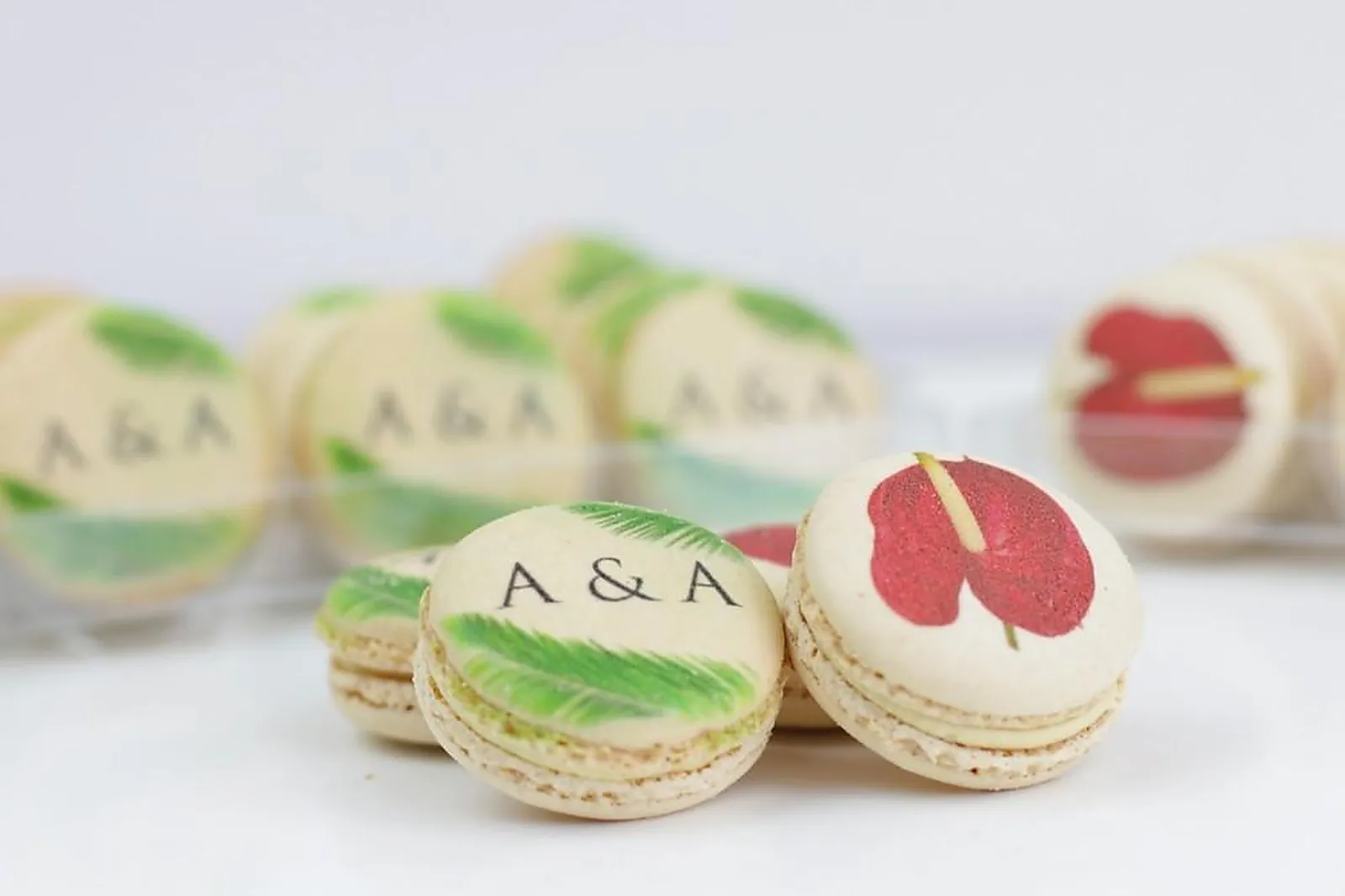 Languedoc-Roussillon-Midi-Pyrénées, TRAITEURS - SAINT-JORY (HAUTE-GARONNE) : MACARONS LOUZIEH