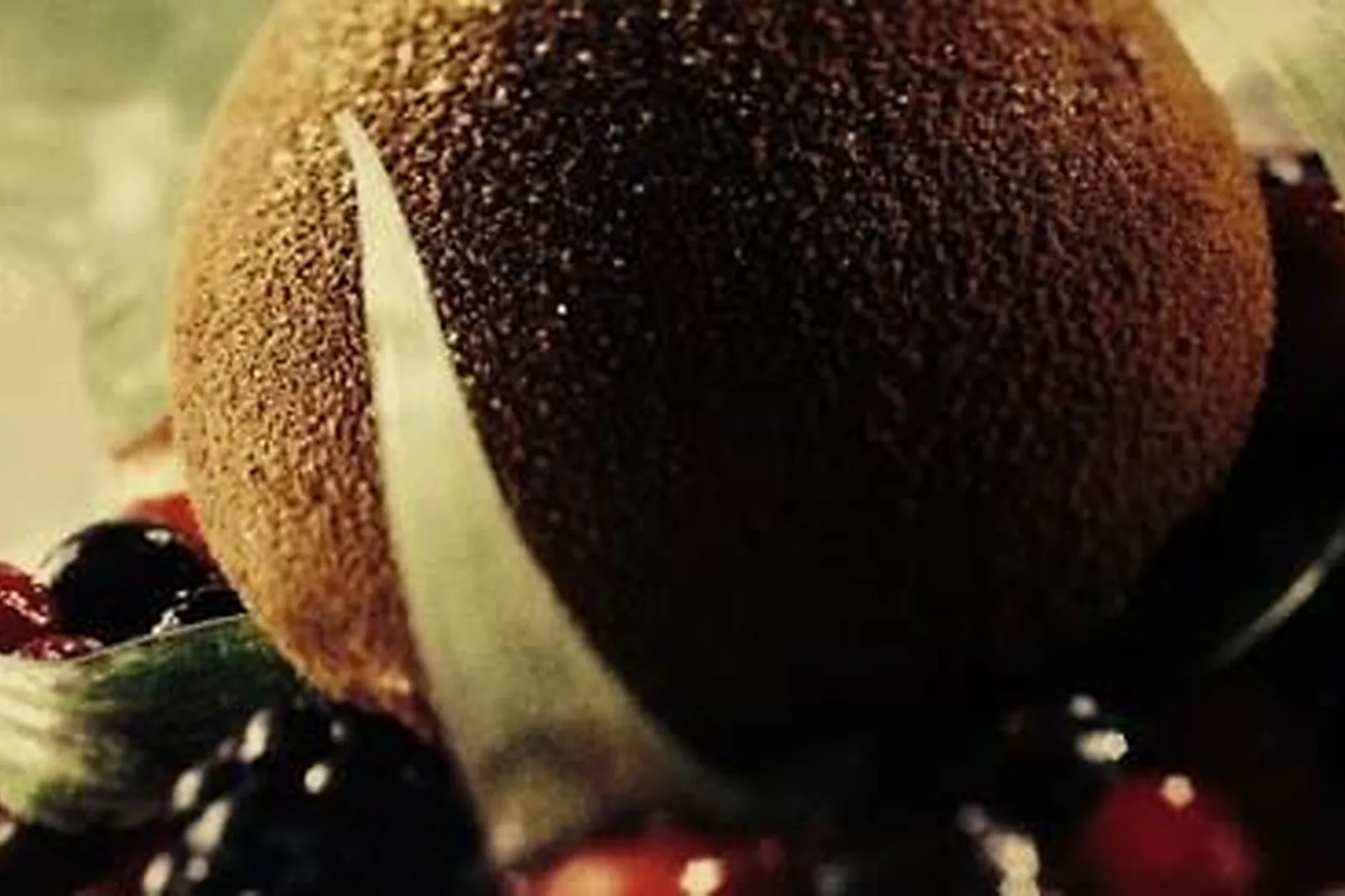 Alsace-Champagne-Ardenne-Lorraine, TRAITEURS - STRASBOURG (BAS-RHIN) : LE NOUNOURS GOURMAND