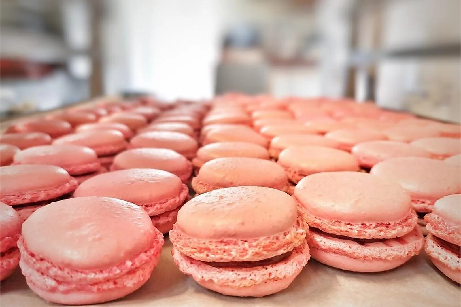 Auvergne-Rhône-Alpes, TRAITEURS - THONON-LES-BAINS (HAUTE-SAVOIE) : CHAUMONTET AND CO