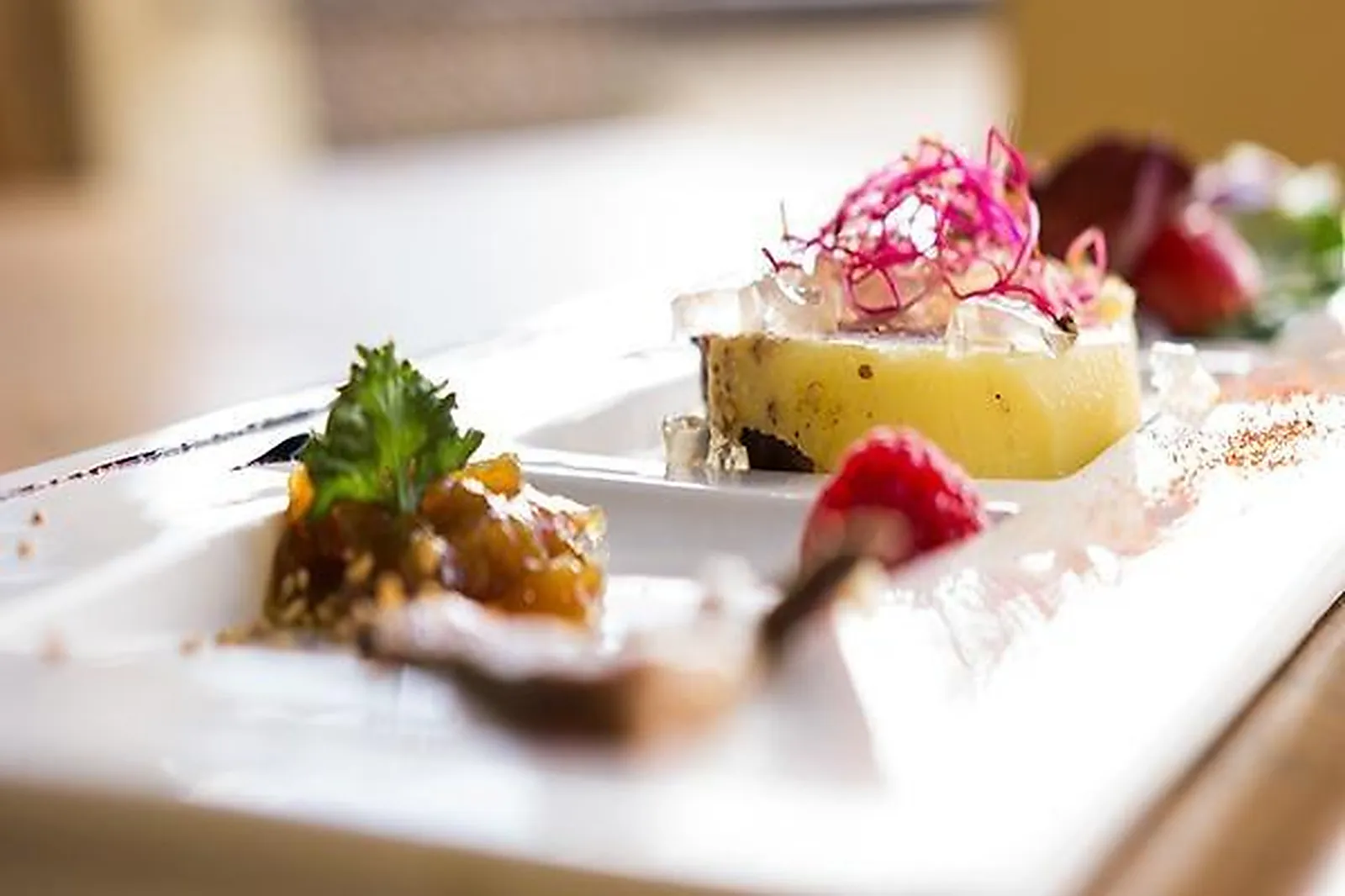 Aquitaine-Limousin-Poitou-Charentes, TRAITEURS - TOMBEBOEUF (LOT-ET-GARONNE) : AJAS TRAITEUR