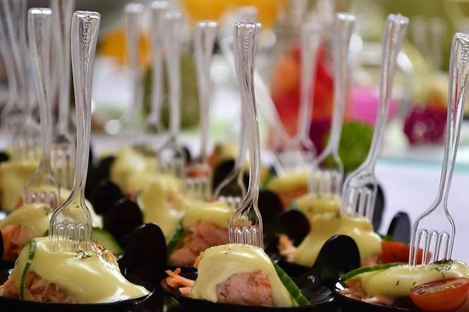 Languedoc-Roussillon-Midi-Pyrénées, TRAITEURS - TOULOUSE (HAUTE-GARONNE) : BLANC TRAITEUR