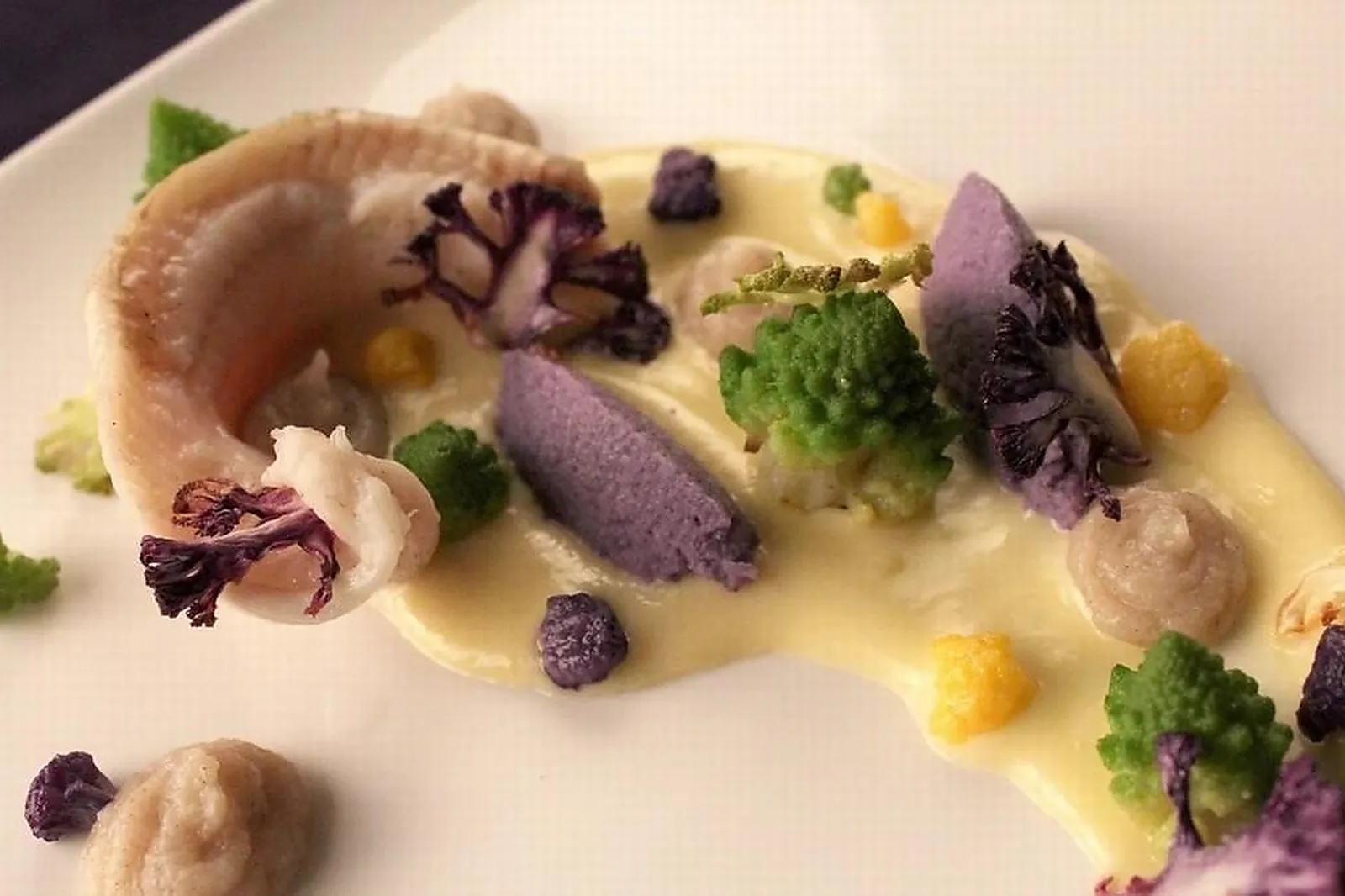 Languedoc-Roussillon-Midi-Pyrénées, TRAITEURS - TOURNEFEUILLE (HAUTE-GARONNE) : SARA BIT-MONNOT CHEFFE À DOMICILE