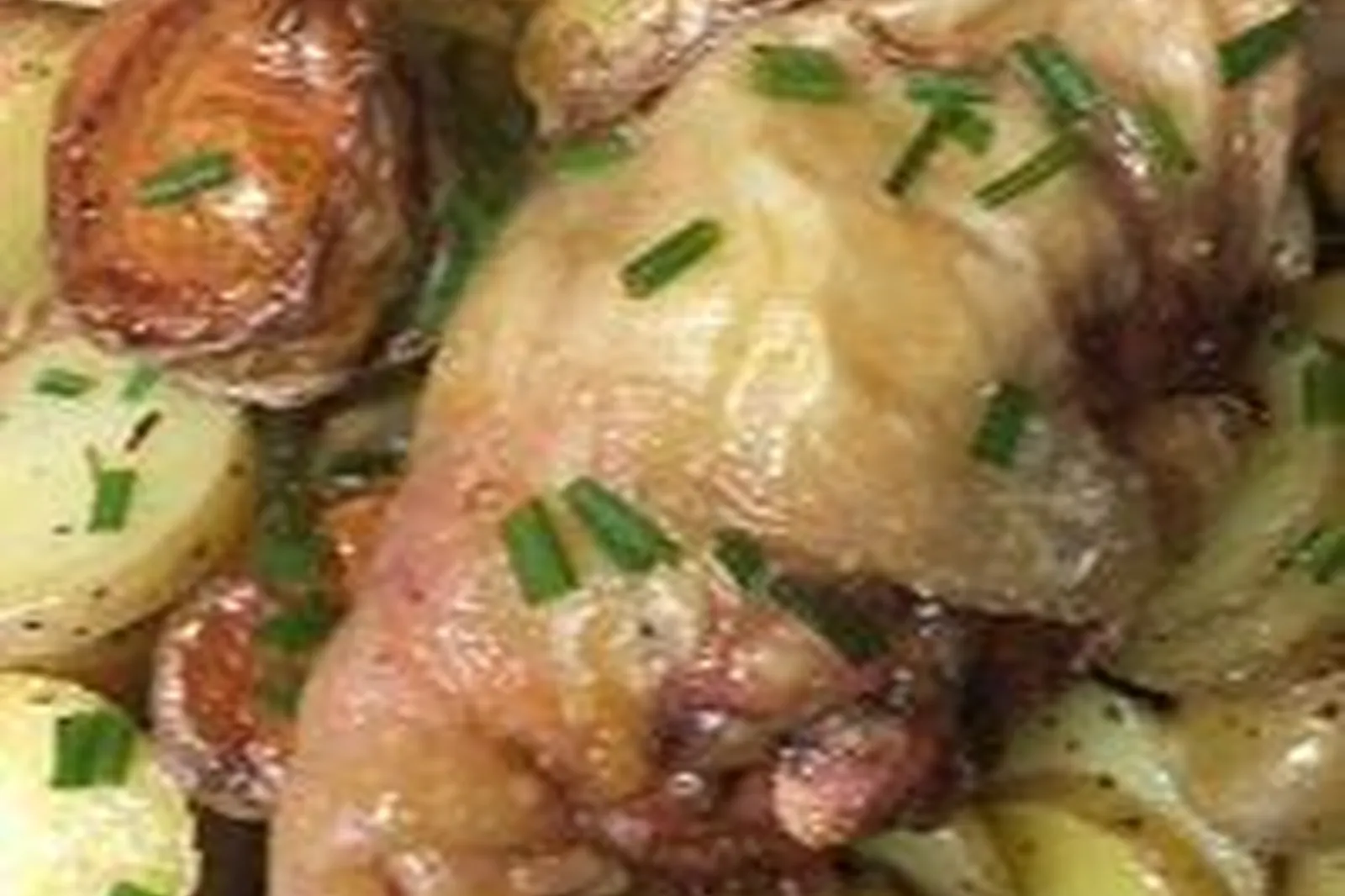 Provence-Alpes-Côte d'Azur, TRAITEURS - VALBONNE (ALPES-MARITIMES) : PURPLE