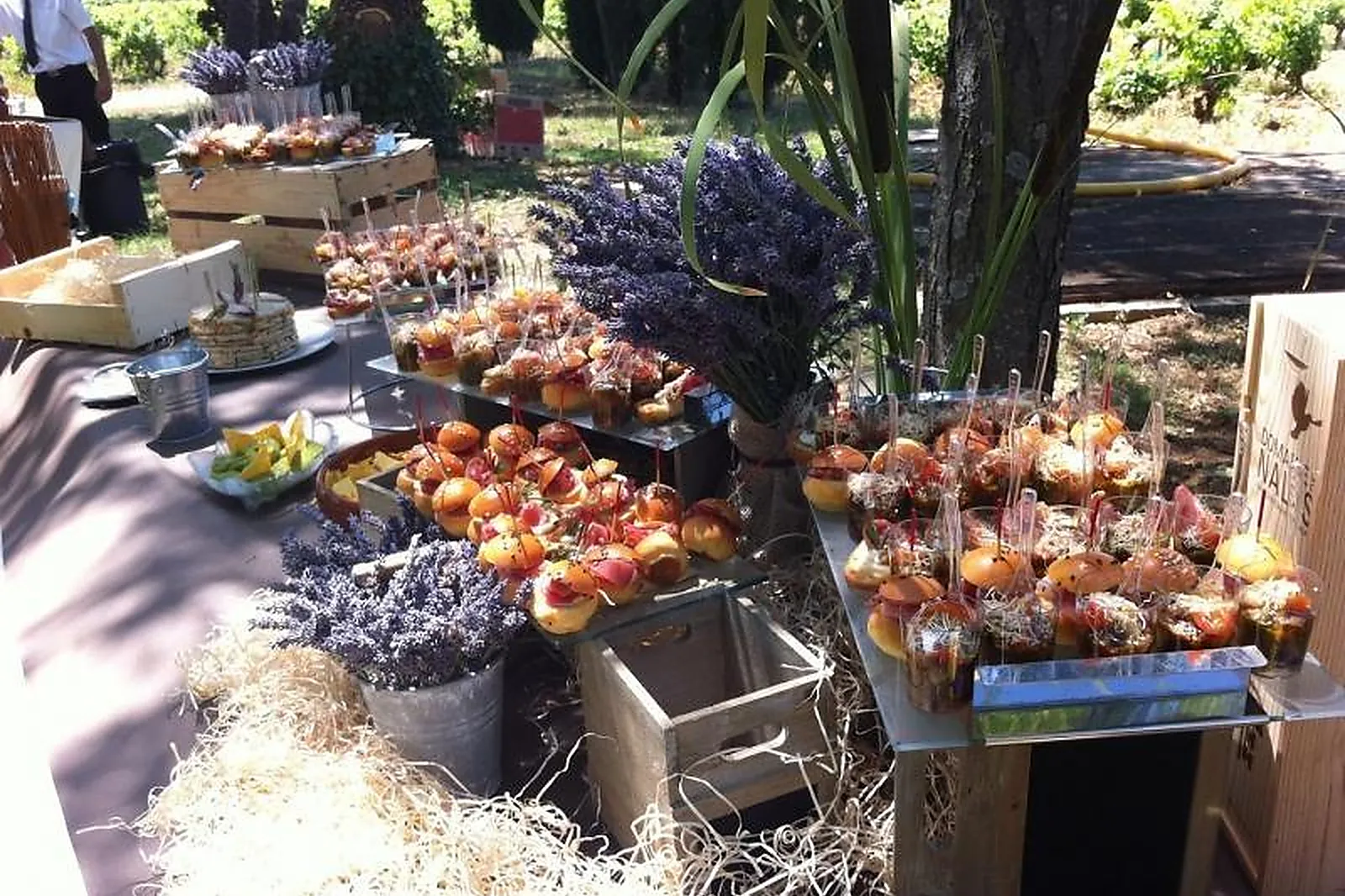 Provence-Alpes-Côte d'Azur, TRAITEURS - VEDENE (VAUCLUSE) : LE RAMIER TRAITEUR
