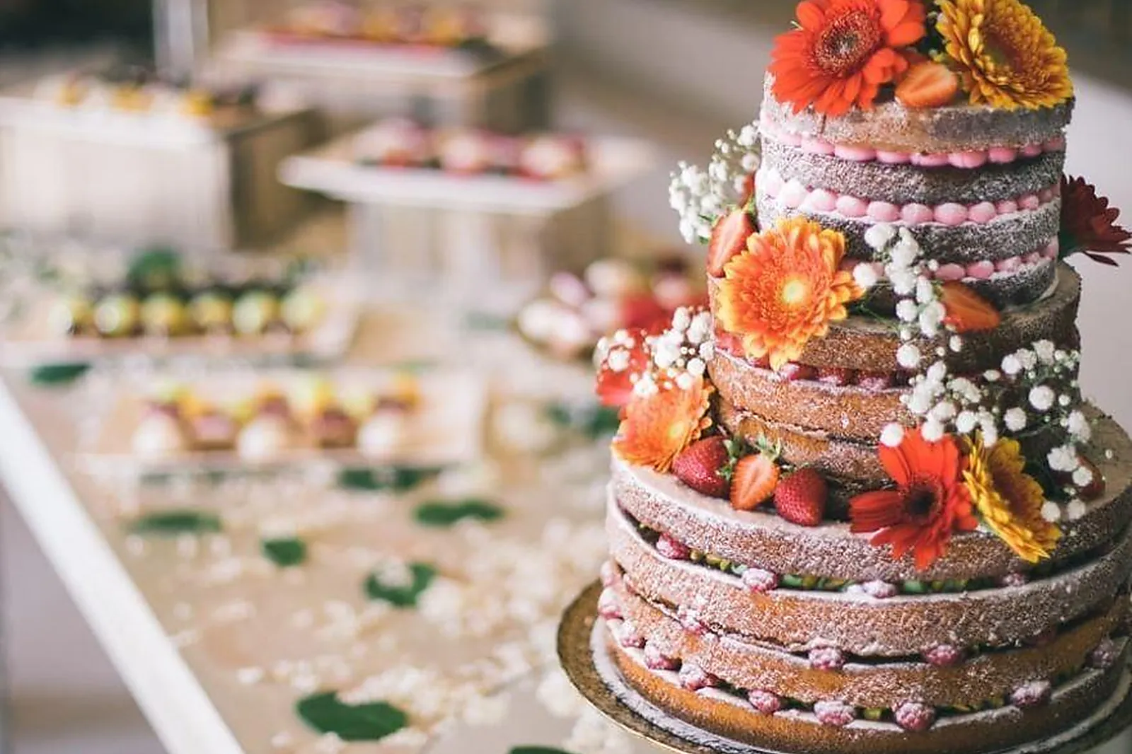 Traiteurs, TRAITEURS - VILLENEUVE-LÈS-AVIGNON (GARD) : LA VALLERGUE